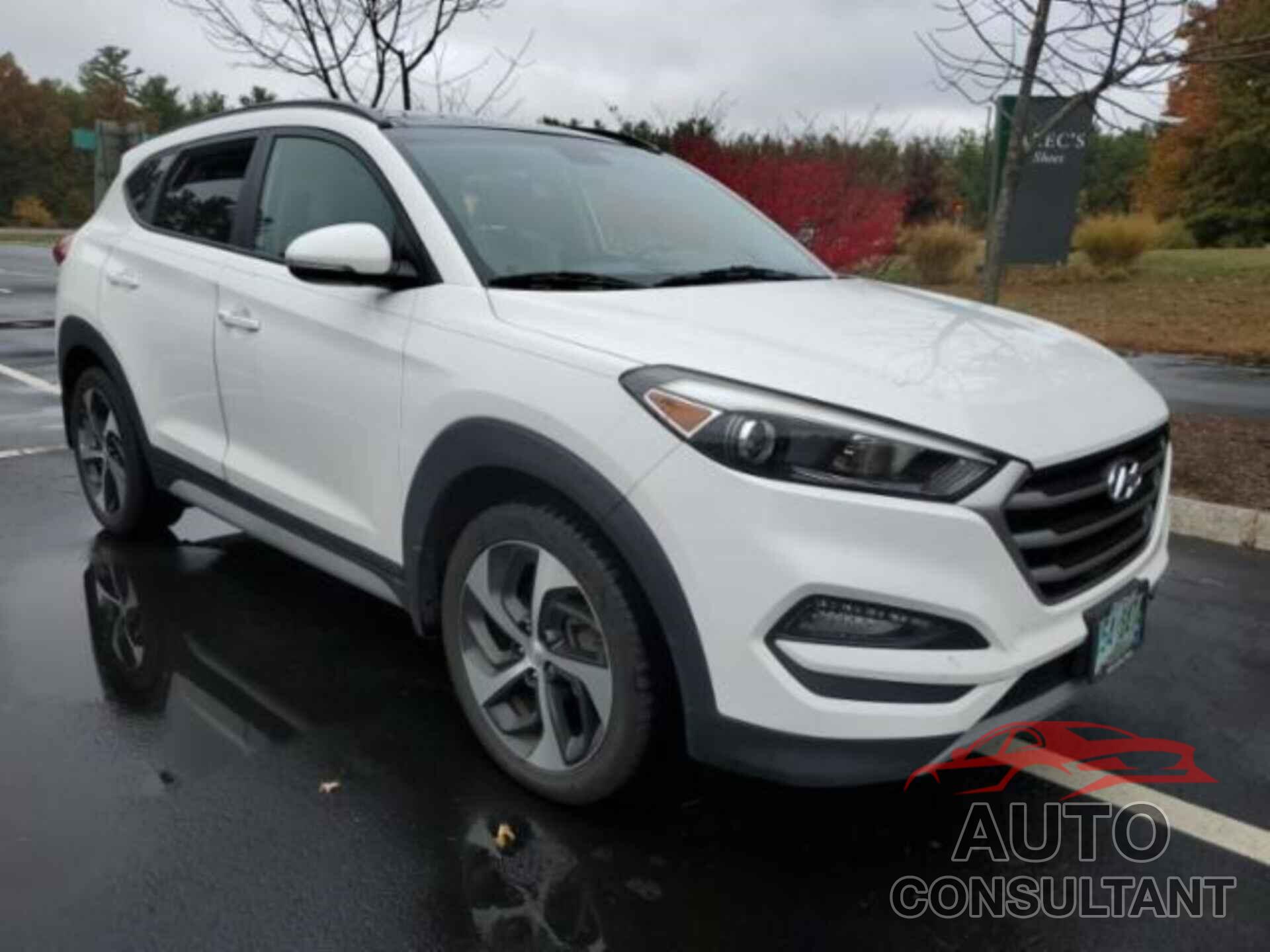 HYUNDAI TUCSON 2017 - KM8J3CA25HU567060