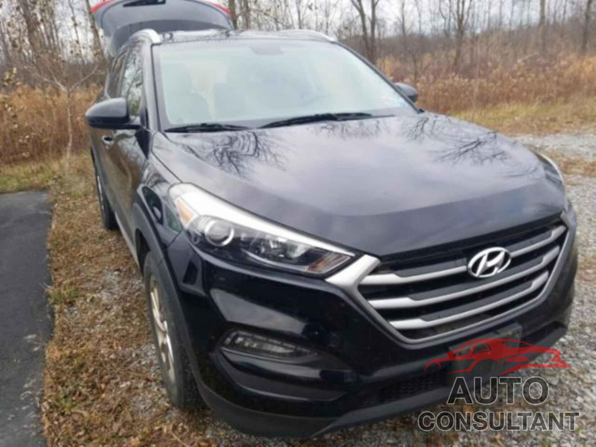 HYUNDAI TUCSON 2017 - KM8J3CA47HU524681