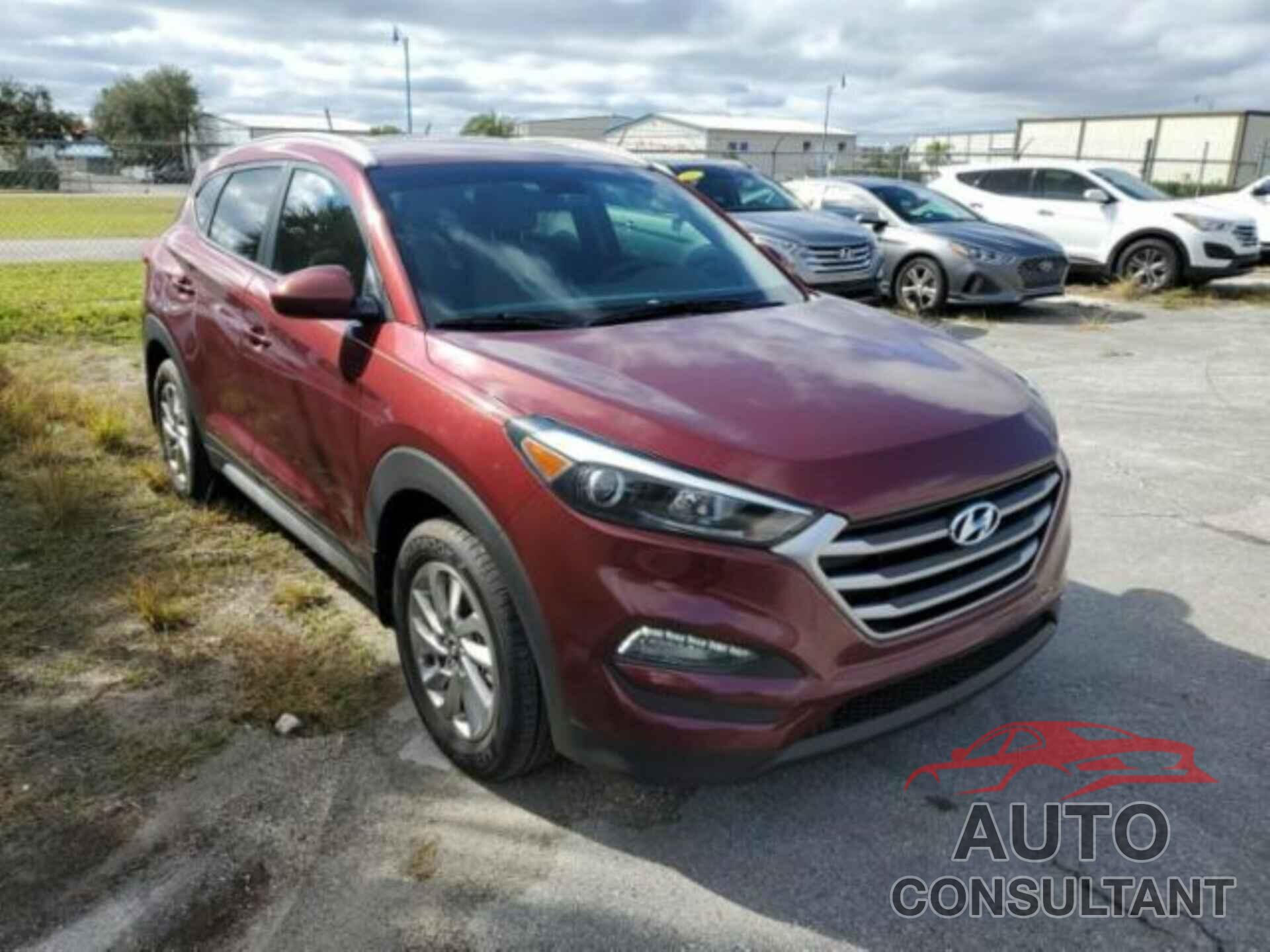 HYUNDAI TUCSON 2017 - KM8J33A45HU341523