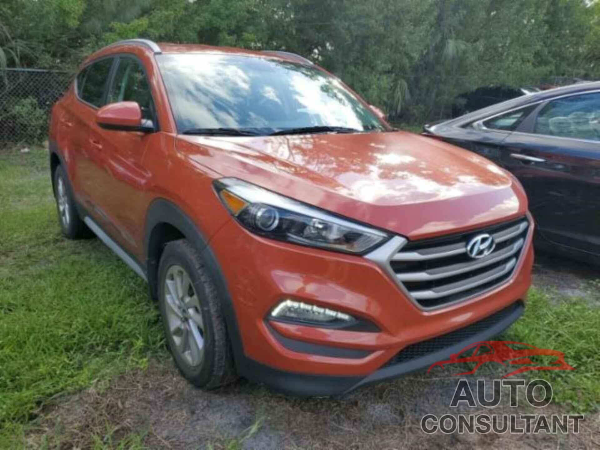 HYUNDAI TUCSON 2017 - KM8J33A42HU518481