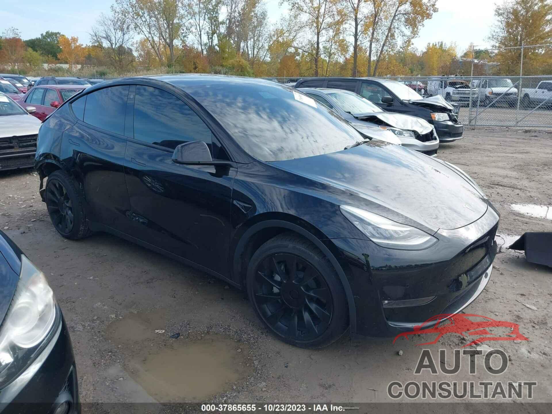 TESLA MODEL Y 2021 - 5YJYGDEE8MF173119