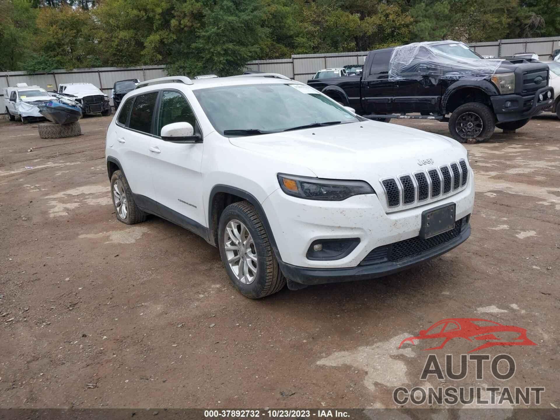 JEEP CHEROKEE 2019 - 1C4PJLCB5KD232874