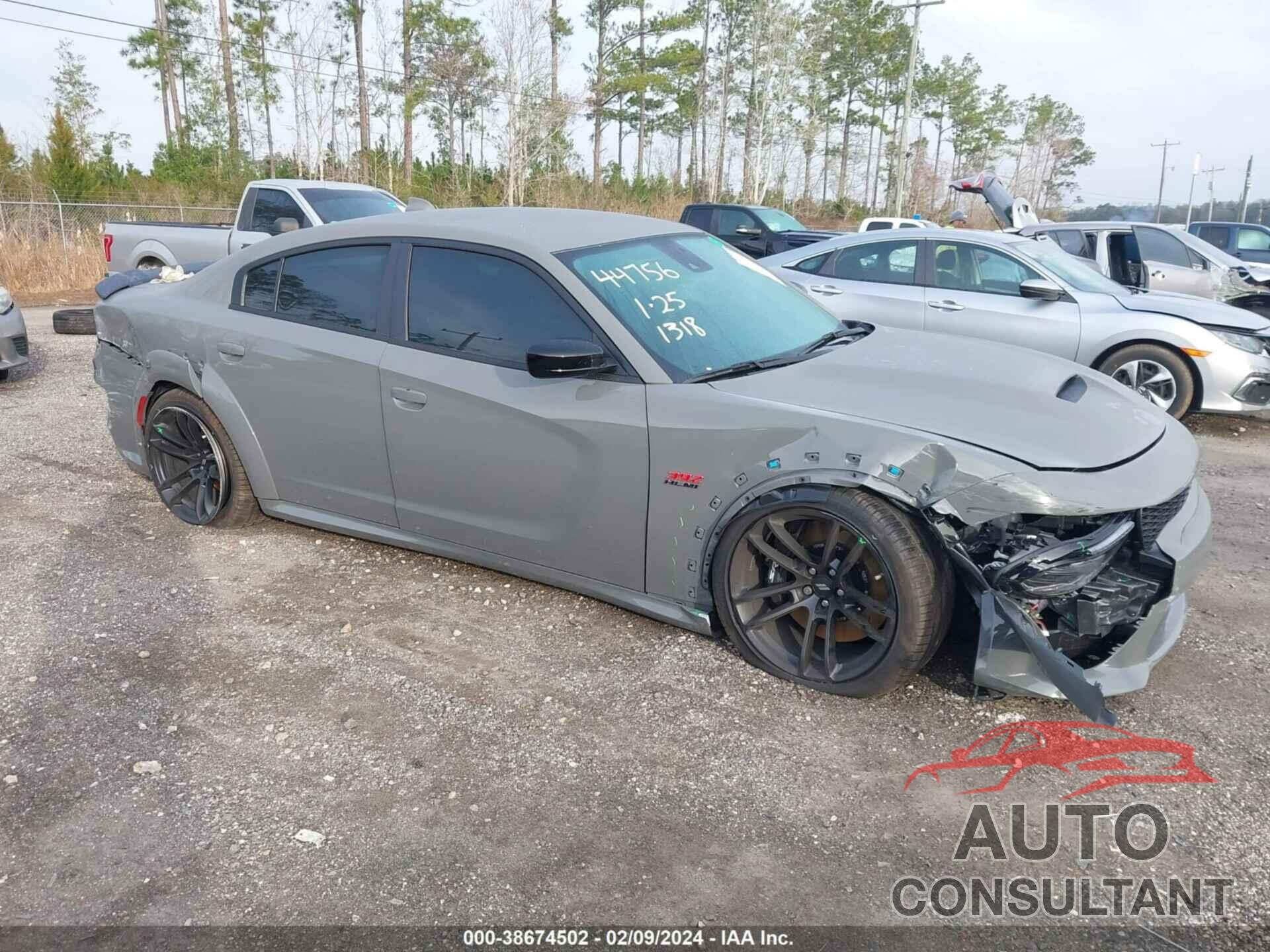 DODGE CHARGER 2023 - 2C3CDXGJ3PH651318