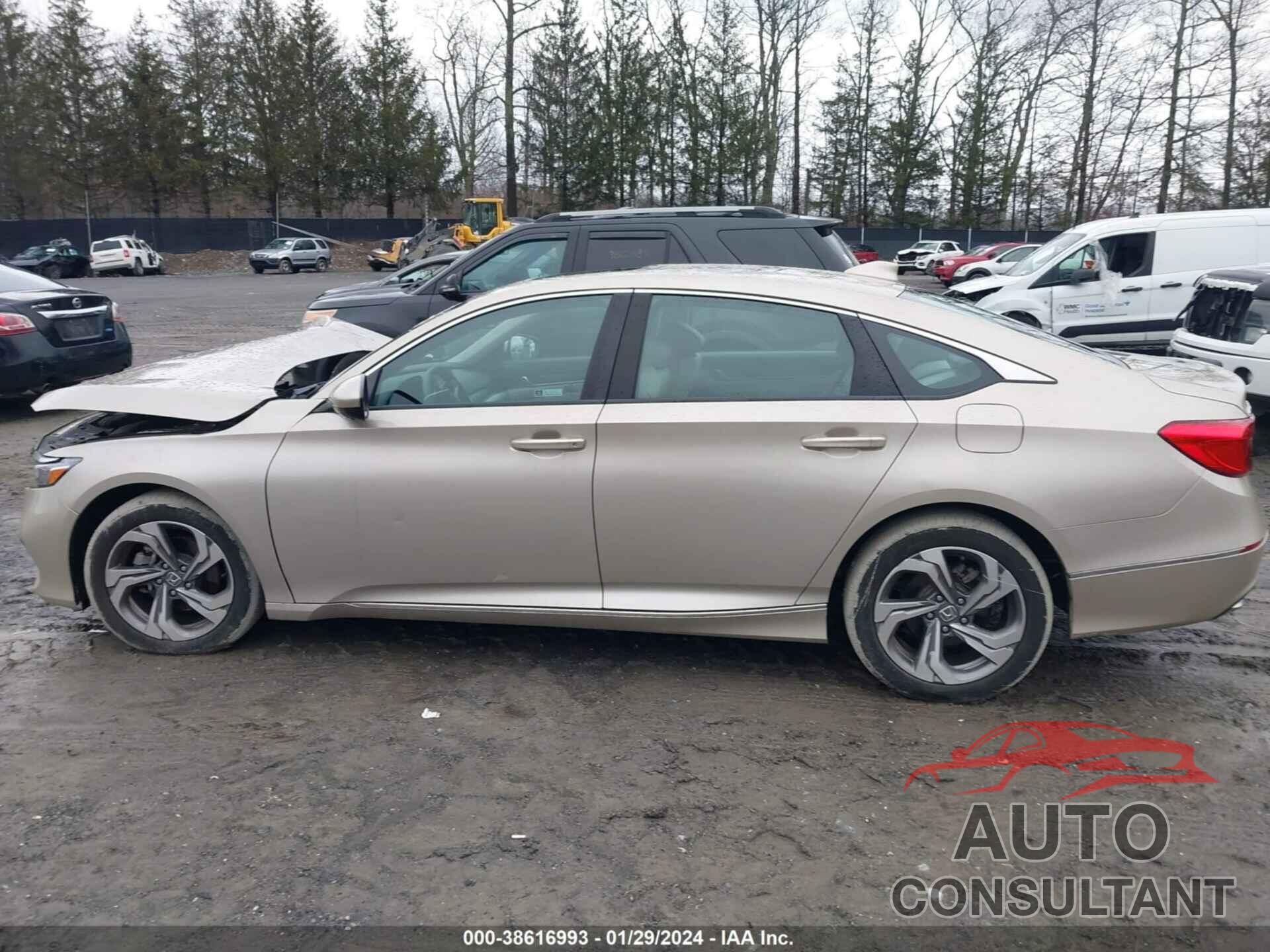 HONDA ACCORD 2019 - 1HGCV1F43KA163626