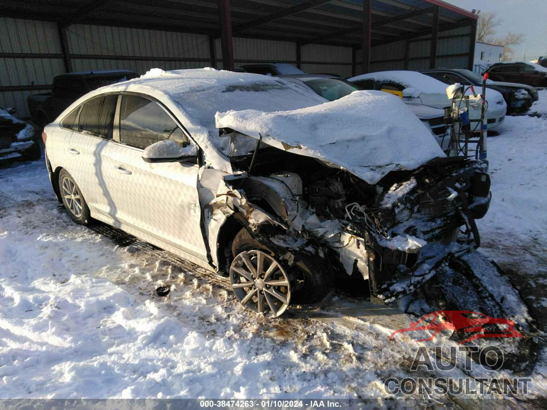 HYUNDAI SONATA 2019 - 5NPE24AF6KH768128