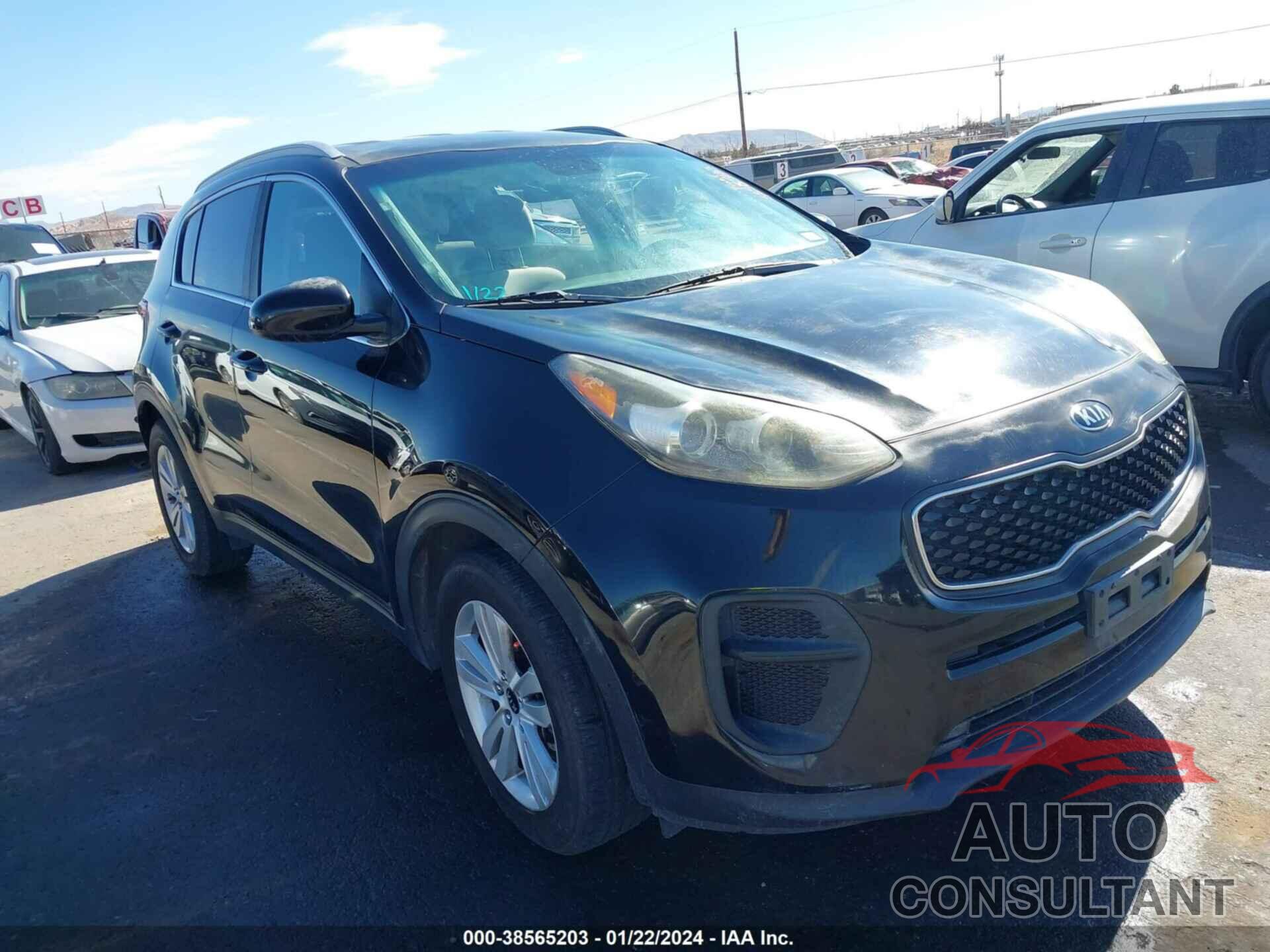 KIA SPORTAGE 2017 - KNDPM3AC3H7069264