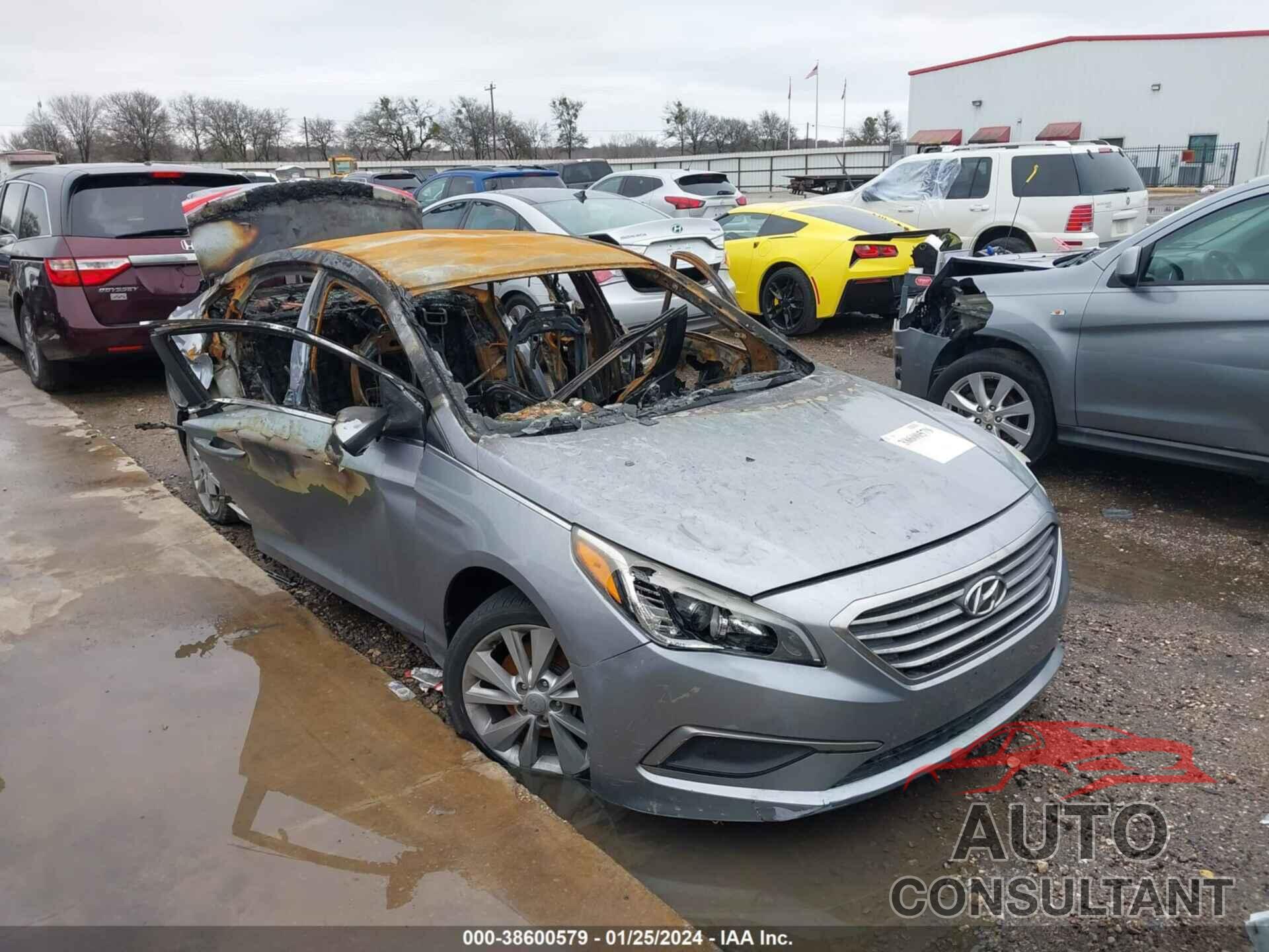 HYUNDAI SONATA 2016 - 5NPE24AF1GH317857