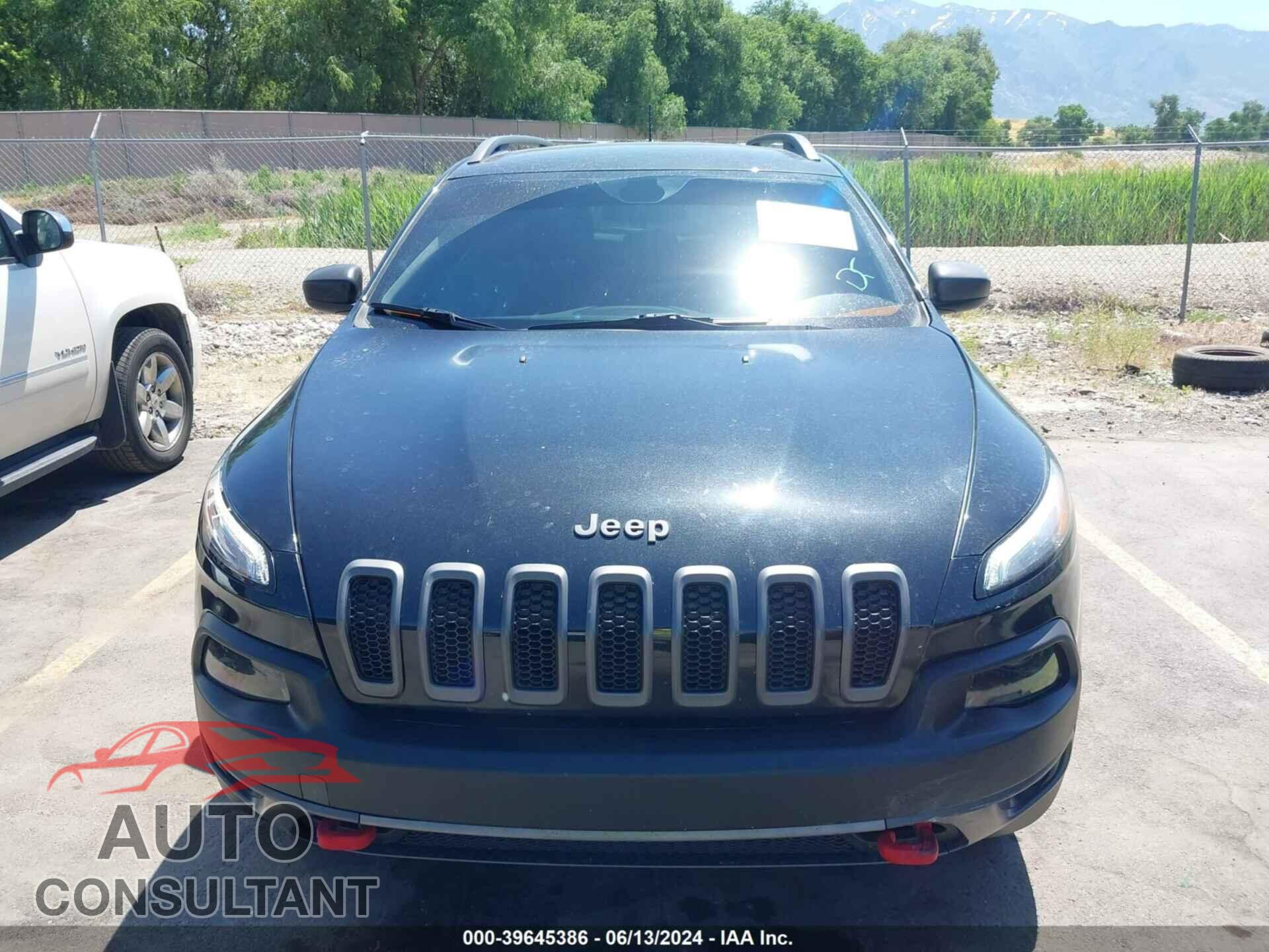 JEEP CHEROKEE 2016 - 1C4PJMBS8GW359587
