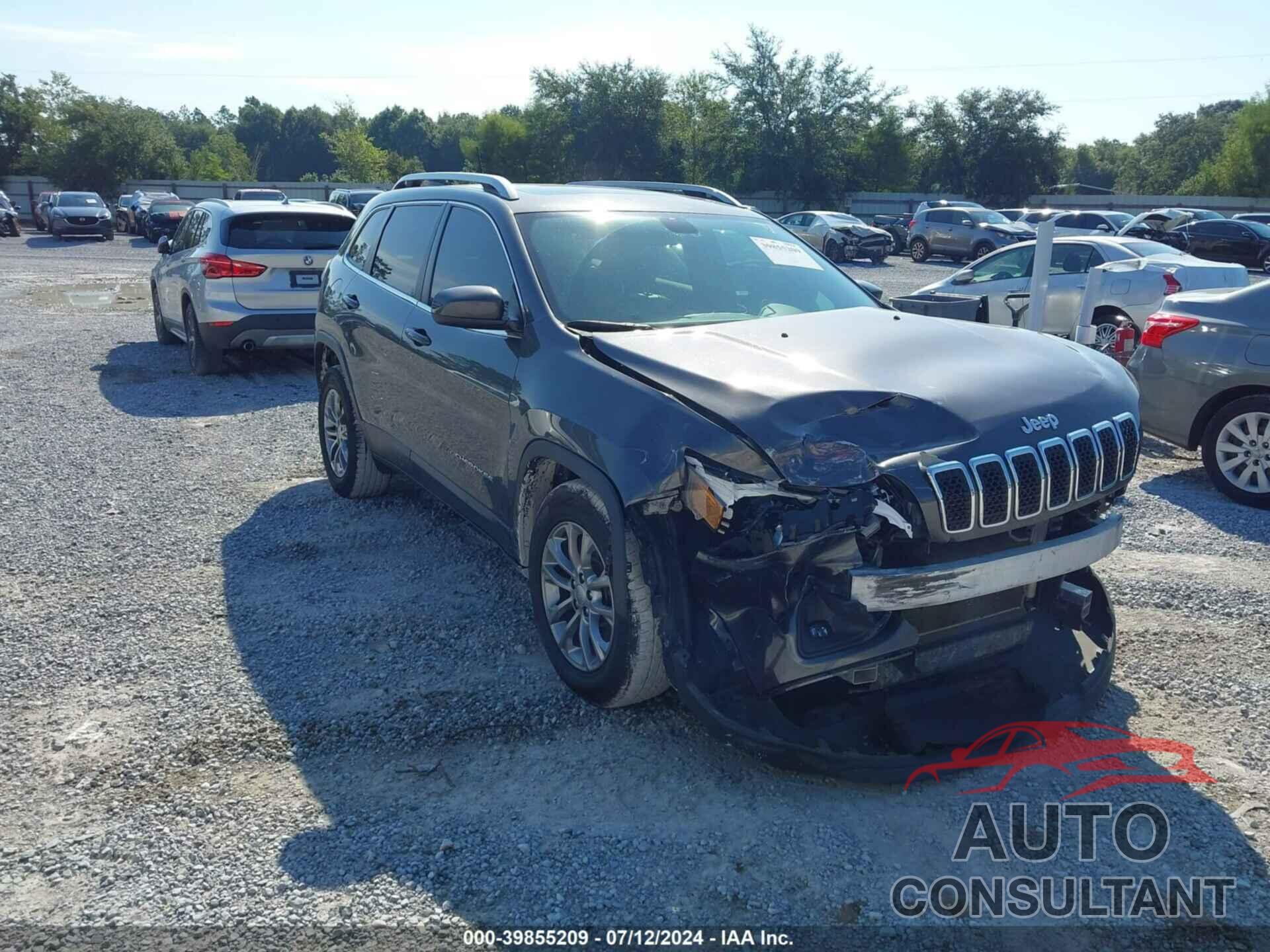 JEEP CHEROKEE 2019 - 1C4PJLLB0KD145559