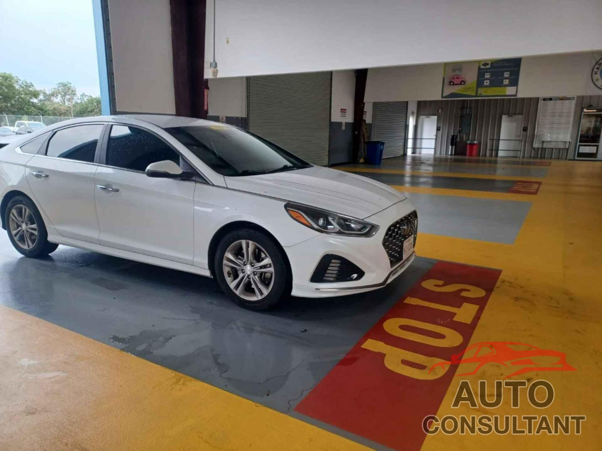 HYUNDAI SONATA 2019 - 5NPE34AF1KH772780