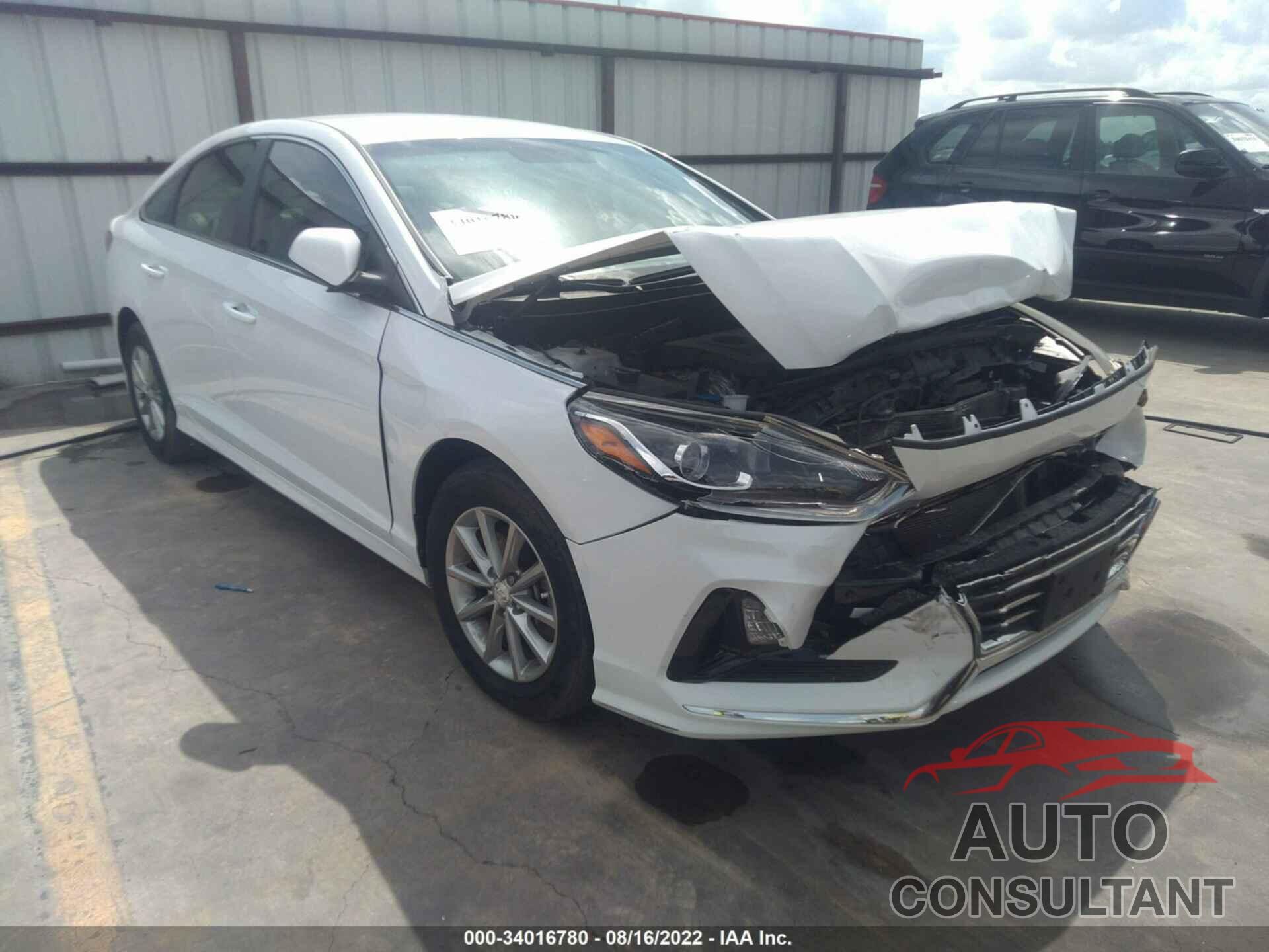 HYUNDAI SONATA 2019 - 5NPE24AF5KH750008