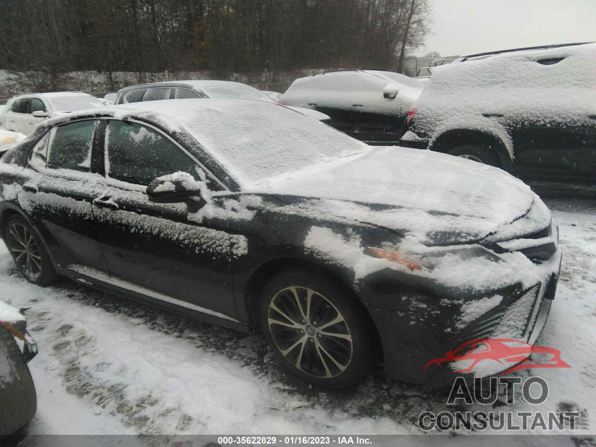 TOYOTA CAMRY 2019 - 4T1B11HKXKU711651