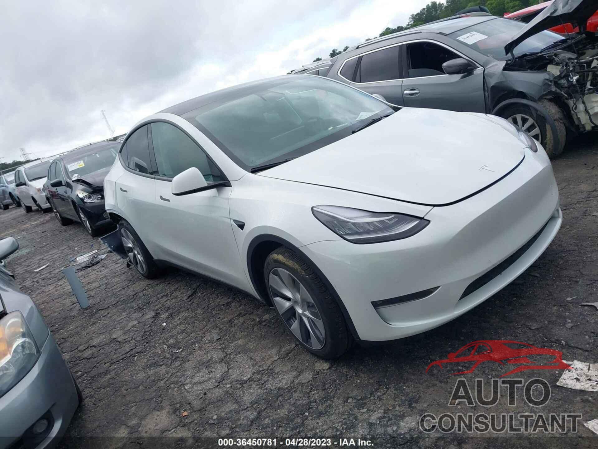 TESLA MODEL Y 2022 - 7SAYGDEE3NF434869