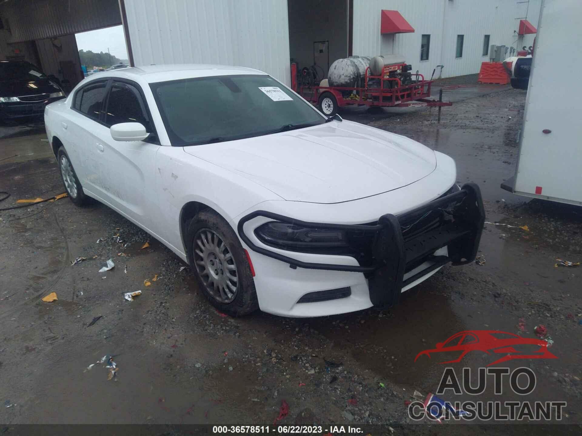 DODGE CHARGER 2019 - 2C3CDXKTXKH619600