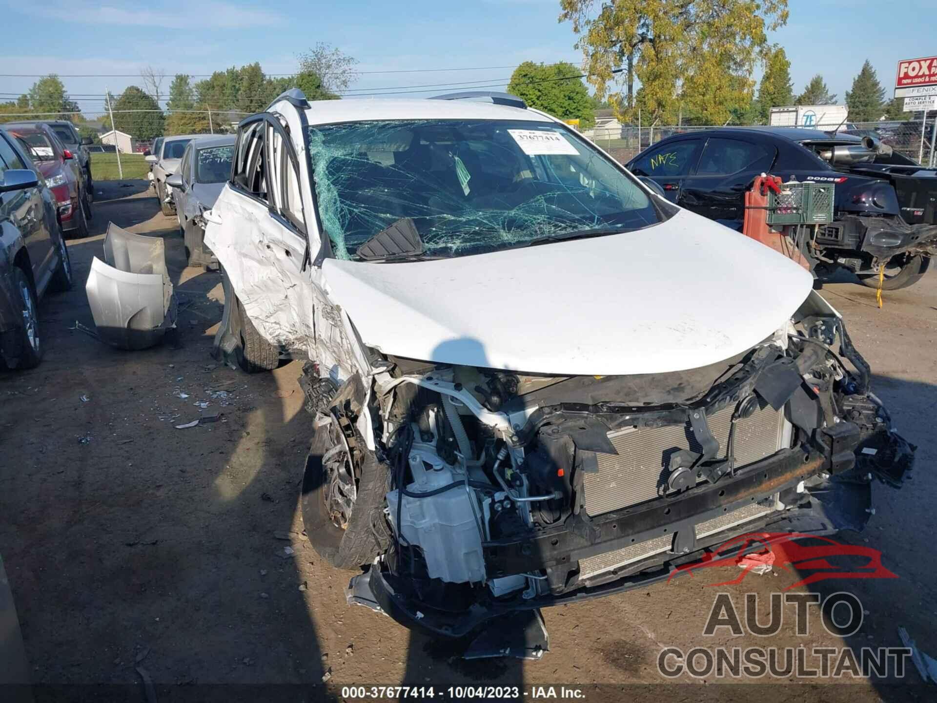 TOYOTA RAV4 2016 - 2T3BFREVXGW439051