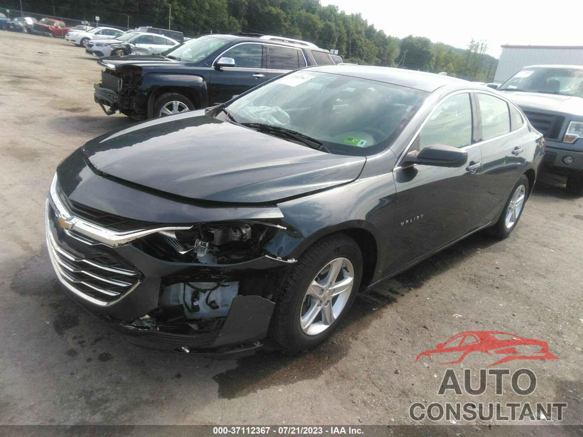 CHEVROLET MALIBU 2019 - 1G1ZB5ST4KF158145