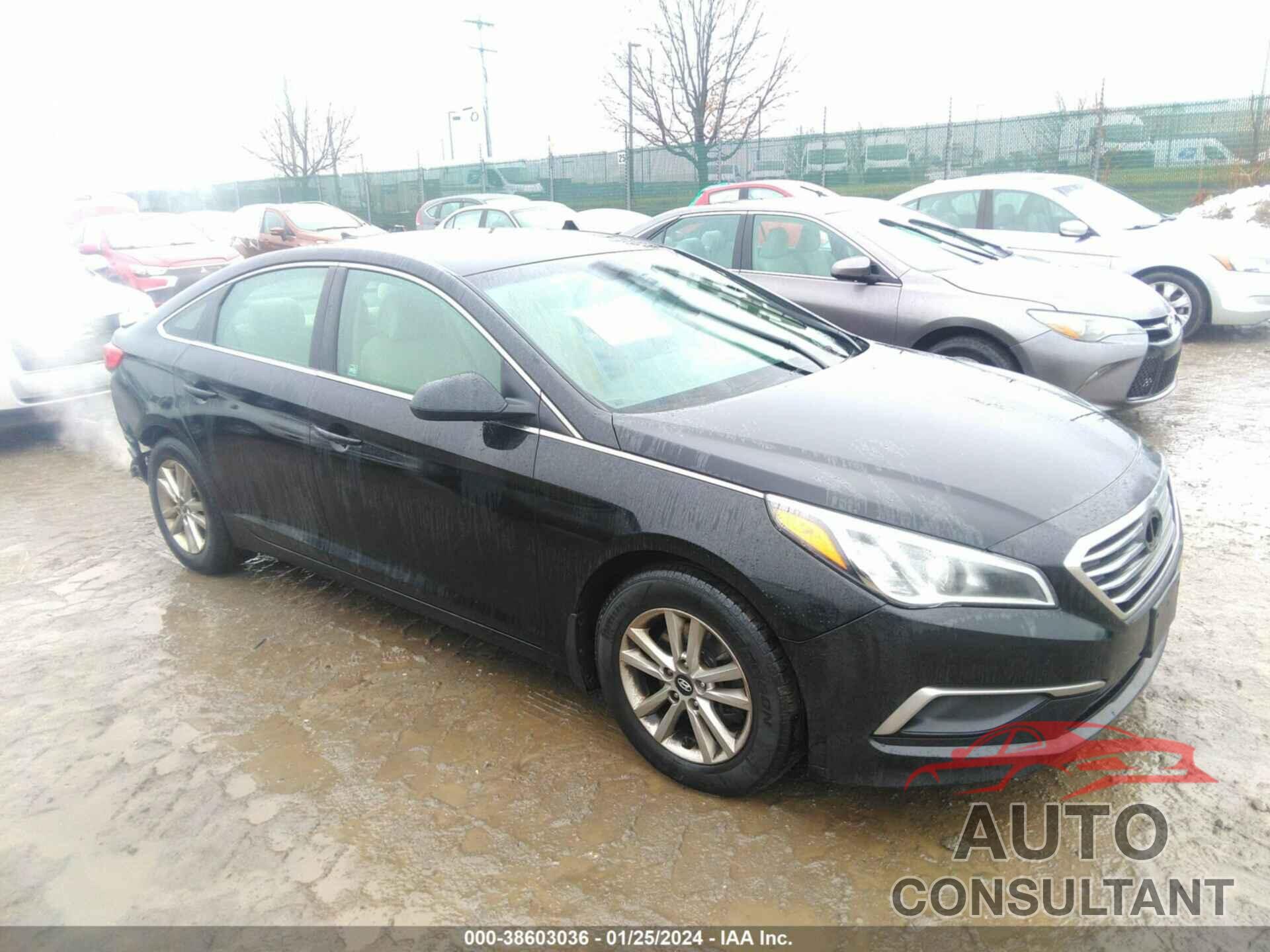 HYUNDAI SONATA 2016 - 5NPE24AF1GH330916