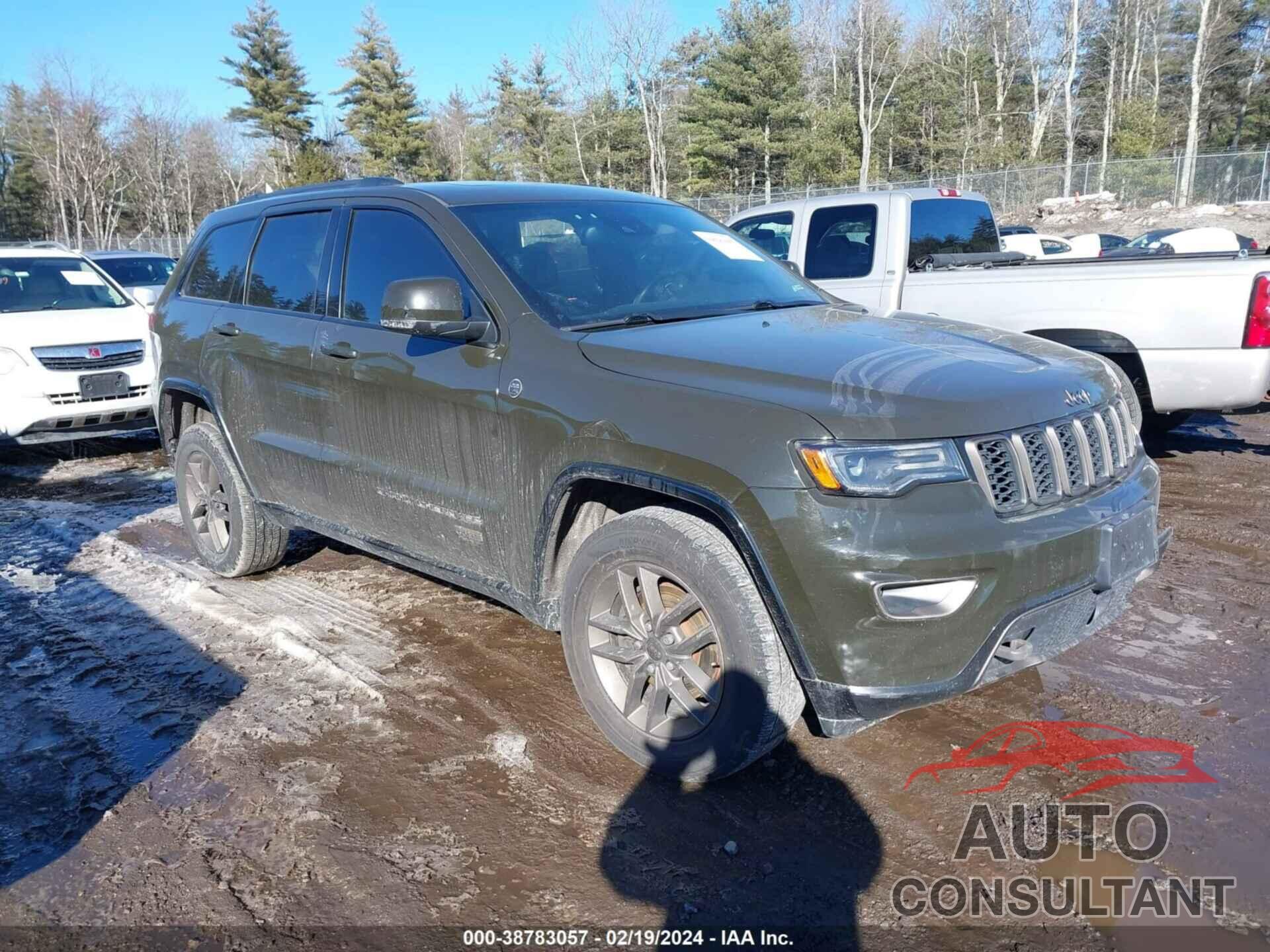 JEEP GRAND CHEROKEE 2016 - 1C4RJFBG9GC480856