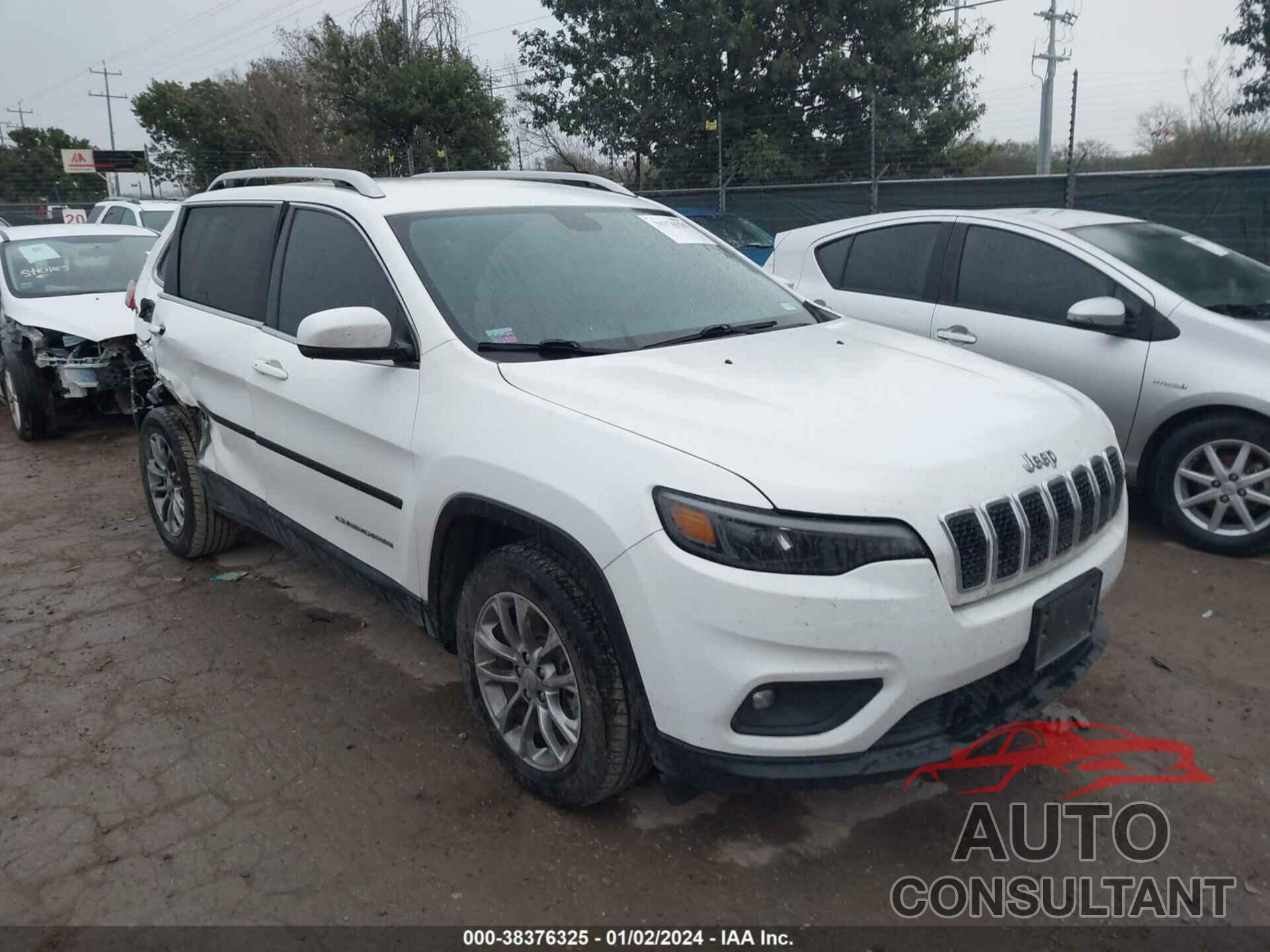 JEEP CHEROKEE 2019 - 1C4PJLLB3KD327515