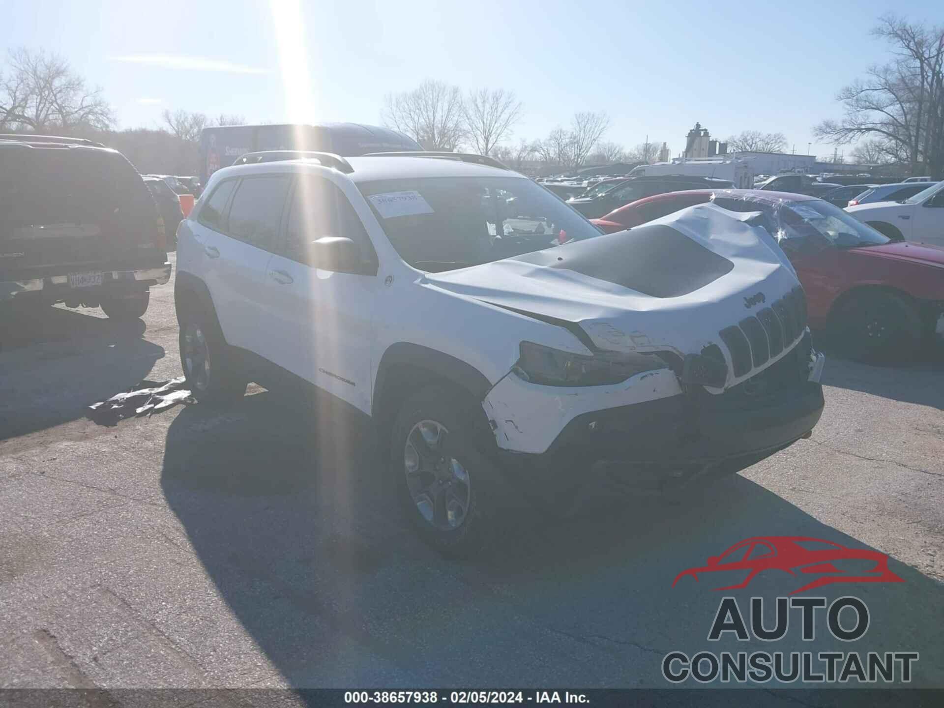 JEEP CHEROKEE 2019 - 1C4PJMBN3KD487458