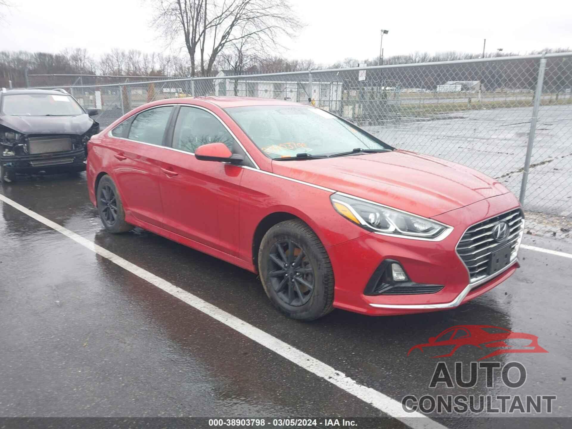 HYUNDAI SONATA 2019 - 5NPE24AF7KH791577