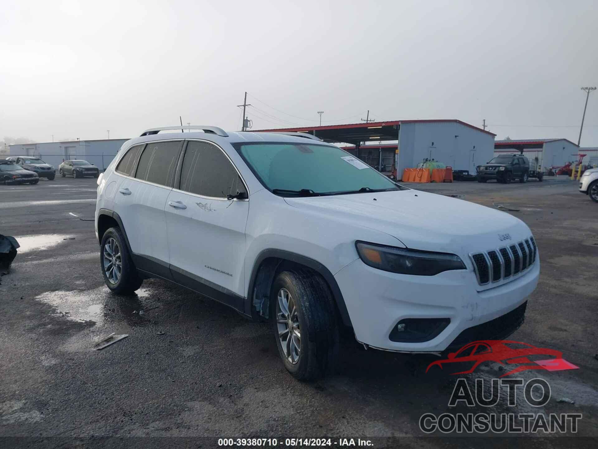 JEEP CHEROKEE 2019 - 1C4PJLLBXKD393284