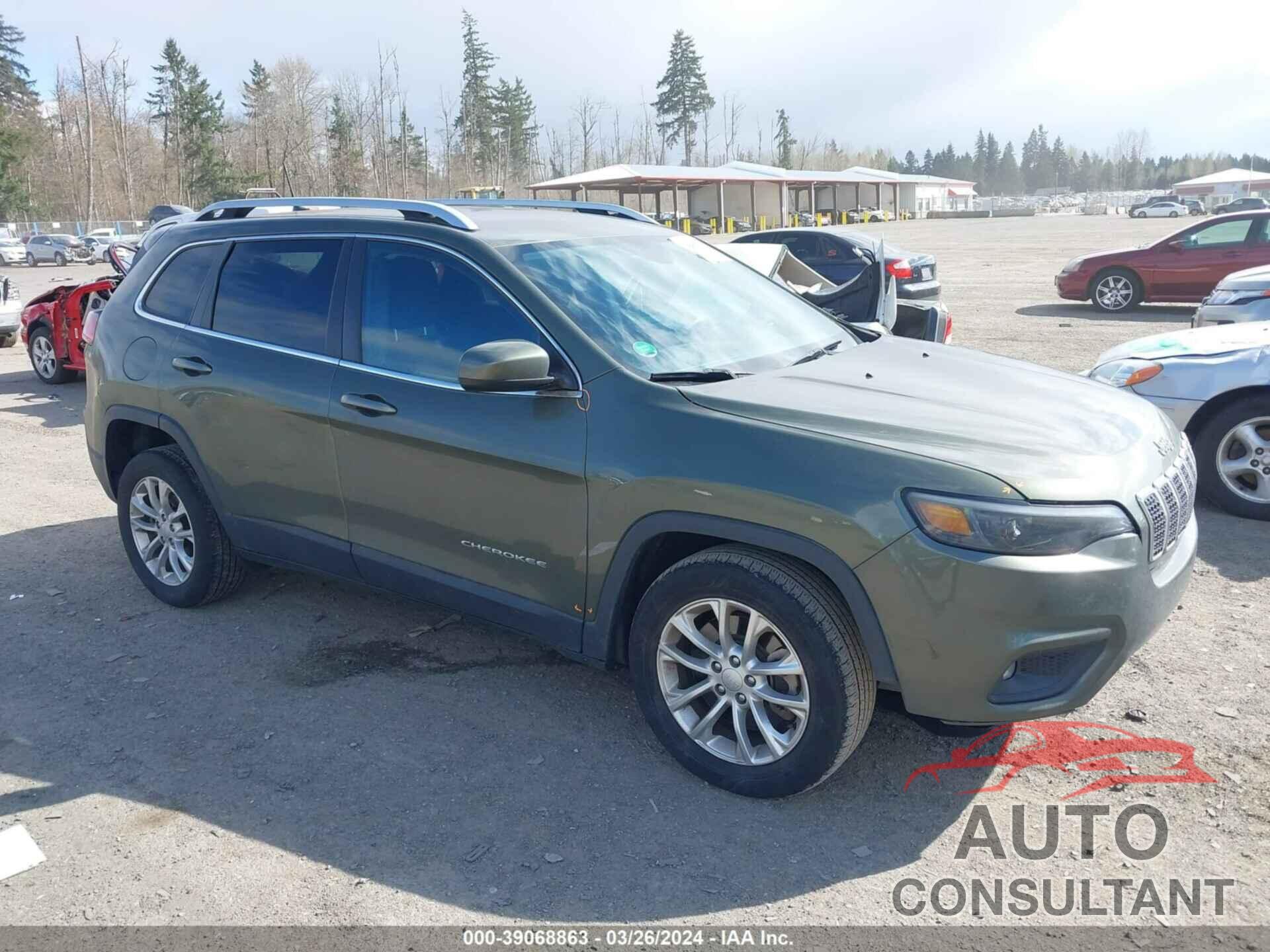 JEEP CHEROKEE 2019 - 1C4PJLCB2KD221265