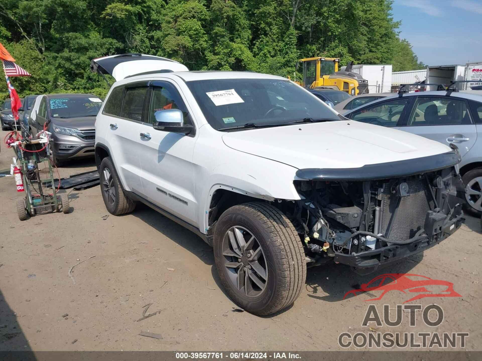 JEEP GRAND CHEROKEE 2019 - 1C4RJFBG1KC570138