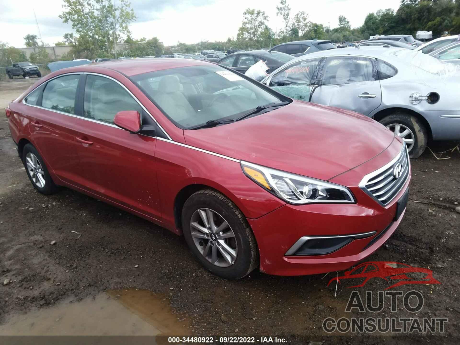 HYUNDAI SONATA 2017 - 5NPE24AFXHH535653