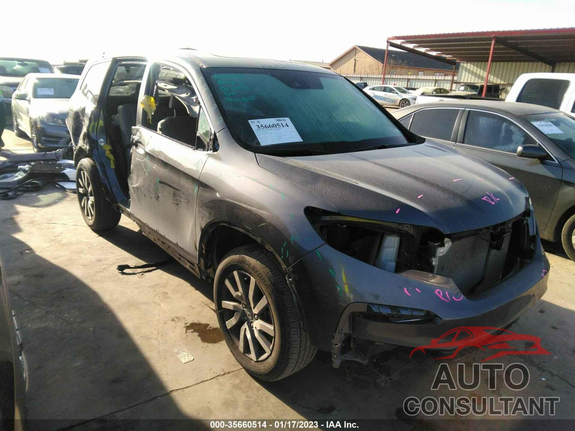 HONDA PILOT 2021 - 5FNYF5H50MB036356