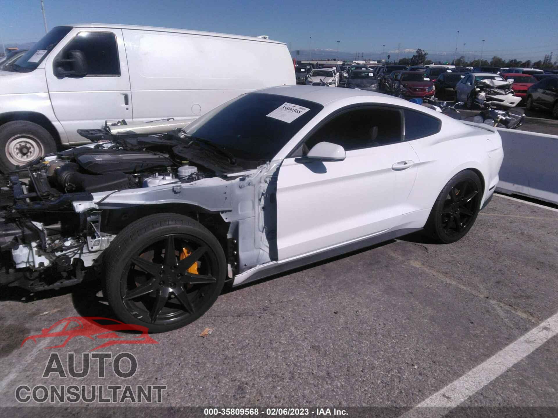 FORD MUSTANG 2019 - 1FA6P8CF4K5202436