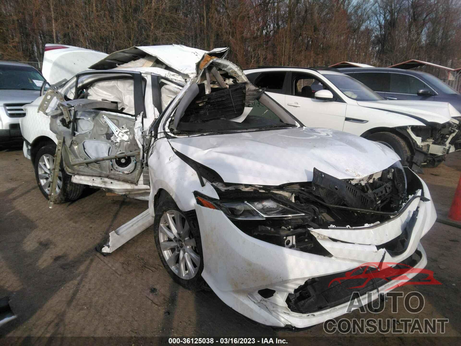 TOYOTA CAMRY 2019 - 4T1B11HK6KU789330