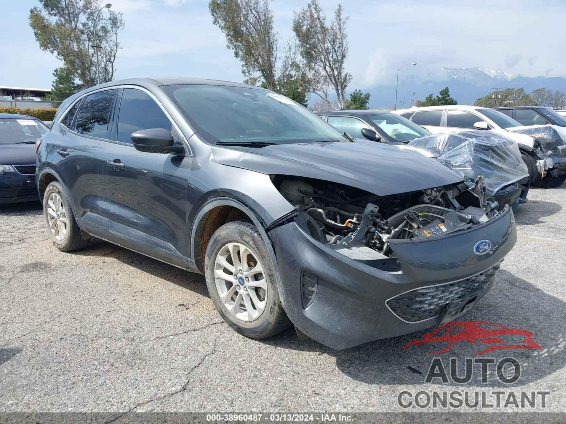 FORD ESCAPE 2020 - 1FMCU0G67LUB19040