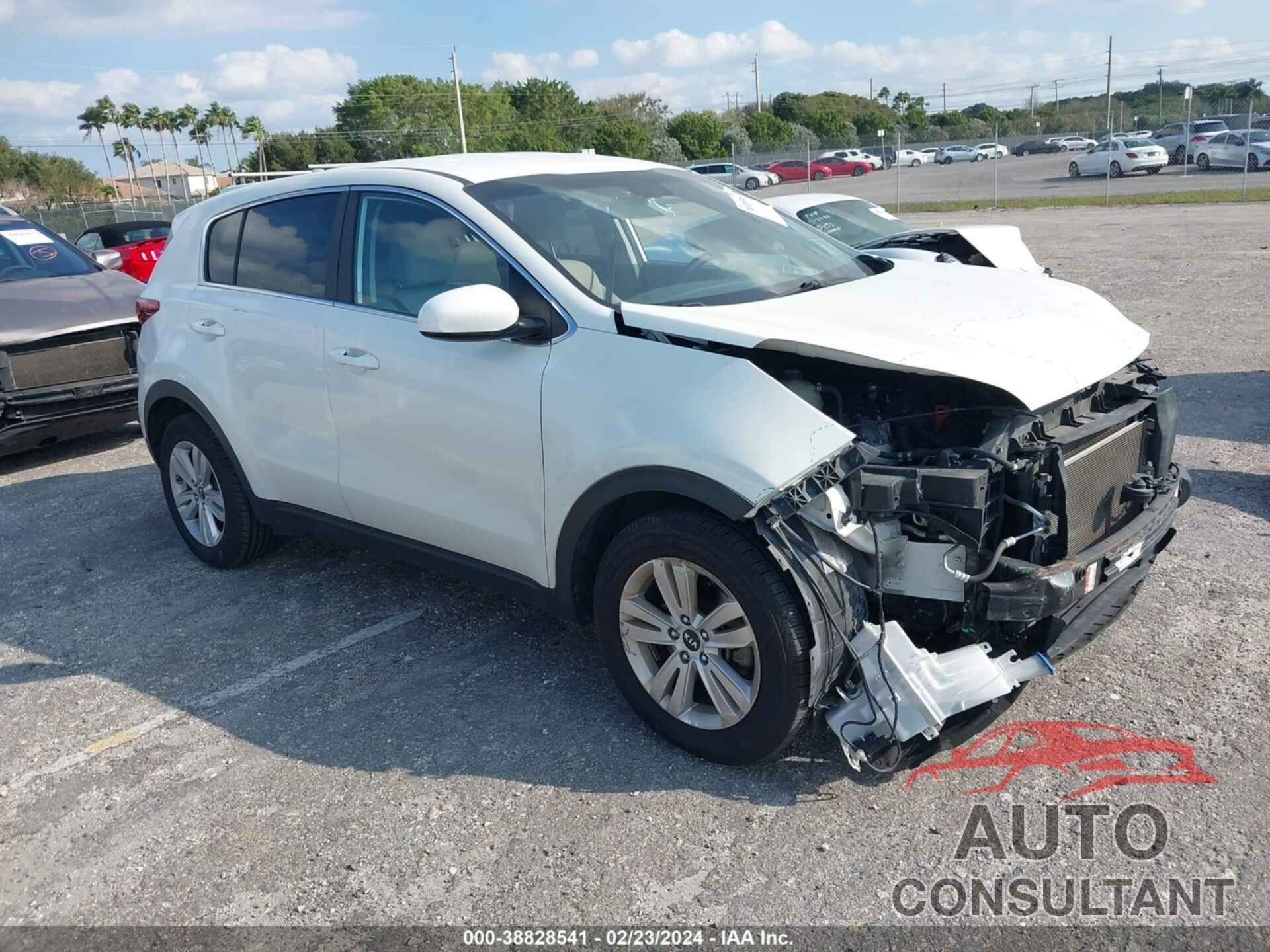 KIA SPORTAGE 2019 - KNDPM3AC0K7564951