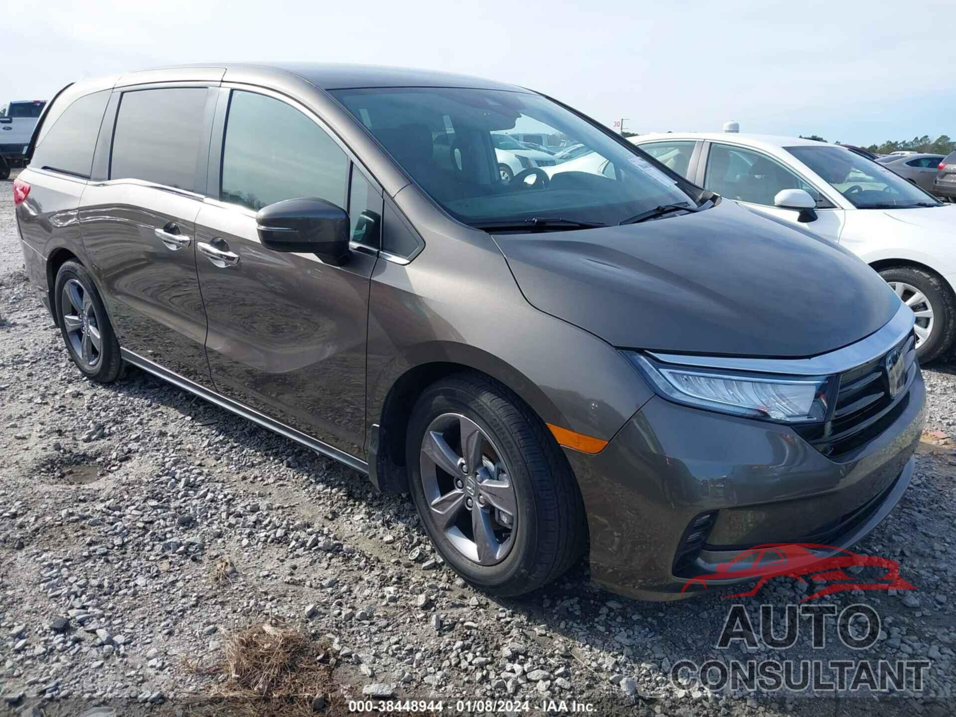 HONDA ODYSSEY 2022 - 5FNRL6H59NB031077