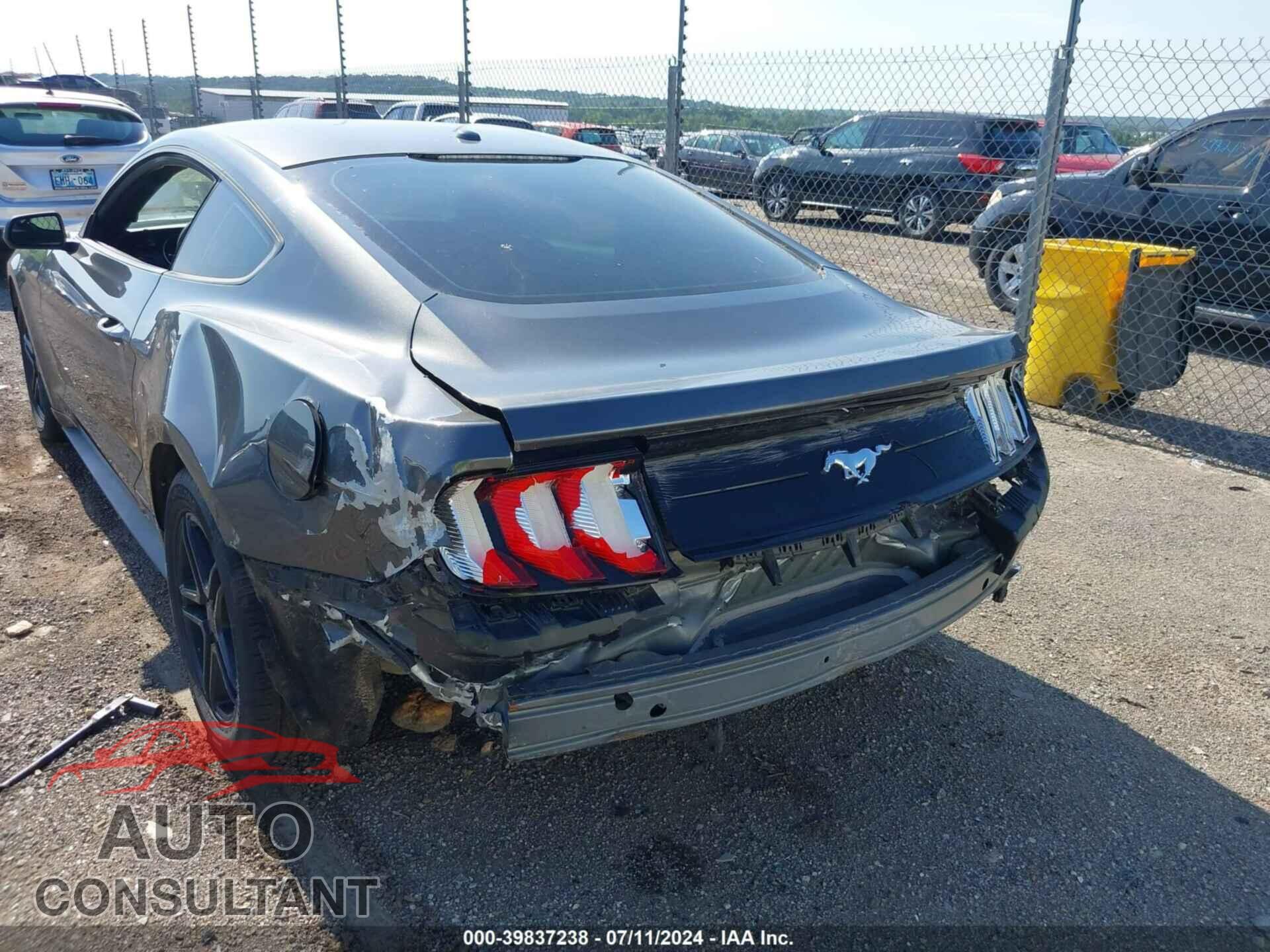 FORD MUSTANG 2019 - 1FA6P8TH3K5157894