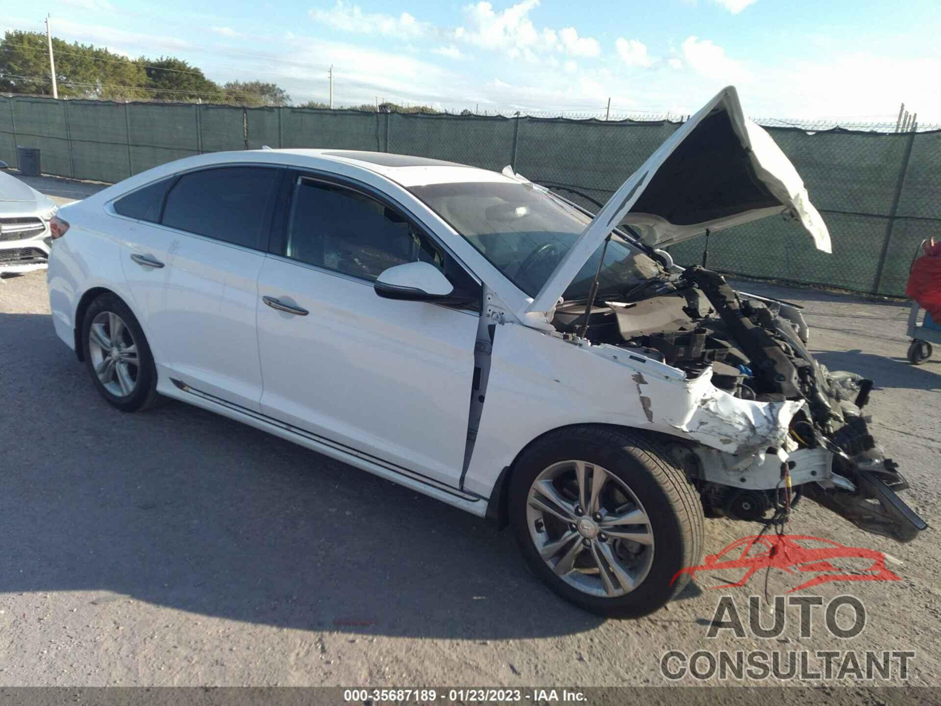 HYUNDAI SONATA 2019 - 5NPE34AF2KH793315