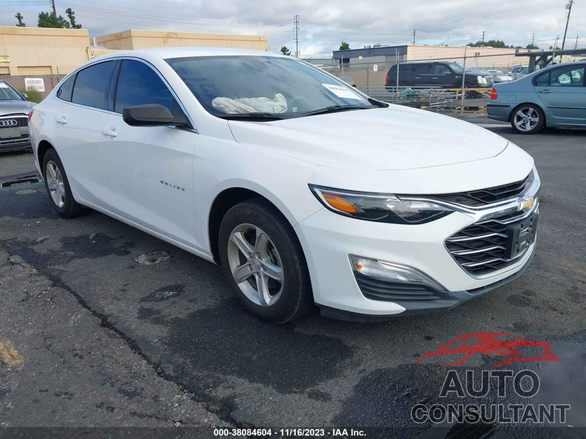 CHEVROLET MALIBU 2019 - 1G1ZB5STXKF205307