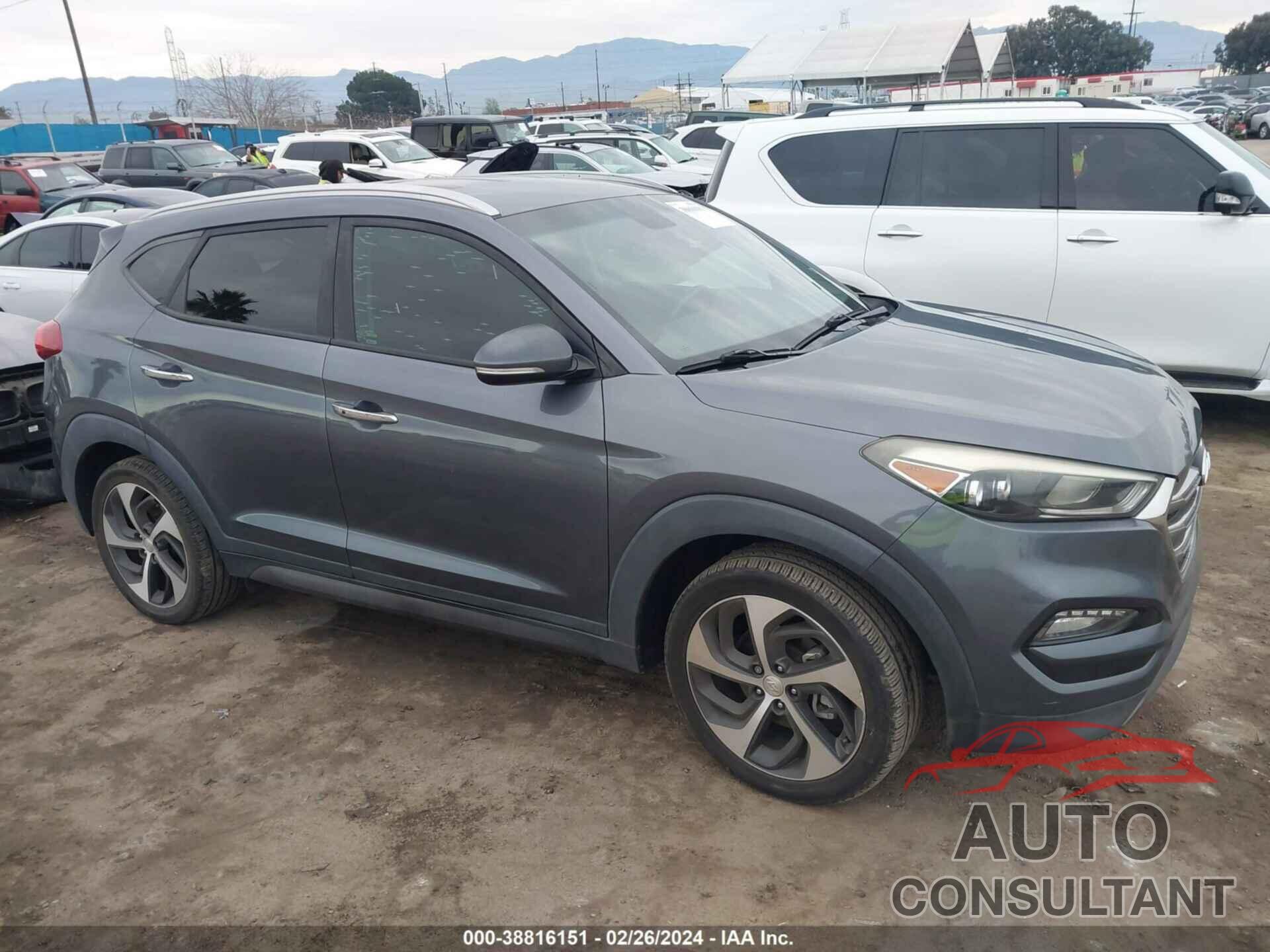 HYUNDAI TUCSON 2016 - KM8J3CA20GU185260