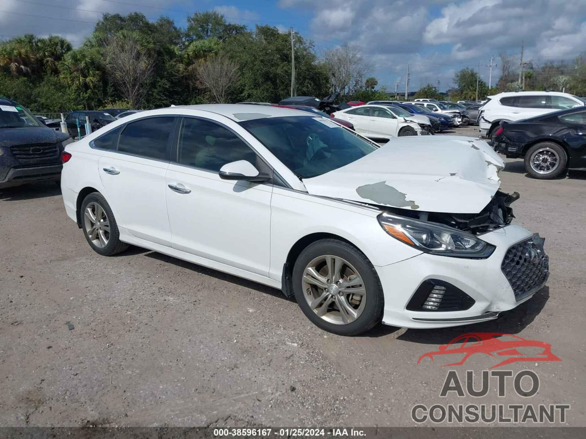 HYUNDAI SONATA 2019 - 5NPE34AFXKH762491