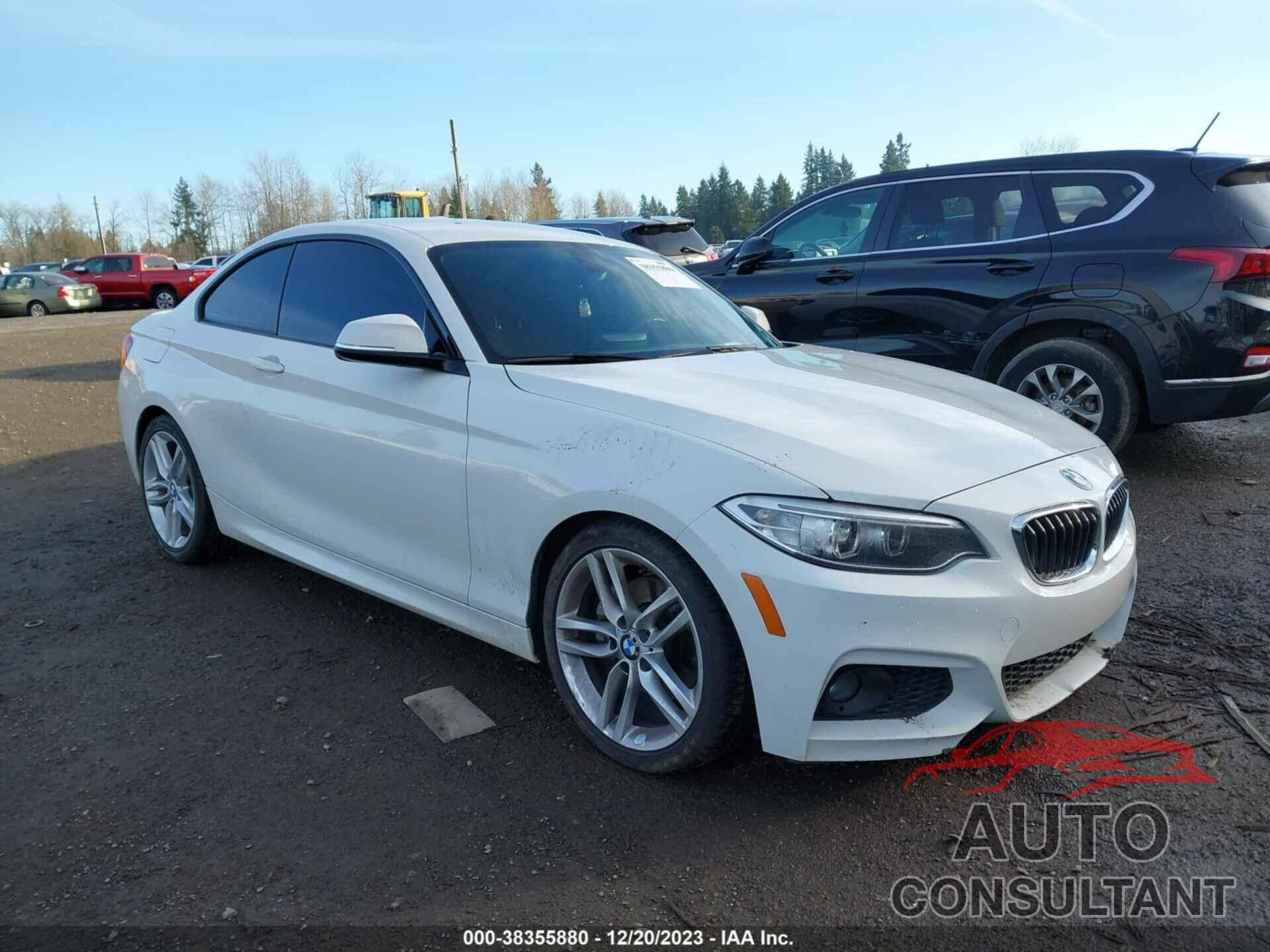 BMW 230I 2017 - WBA2F9C30HV983940