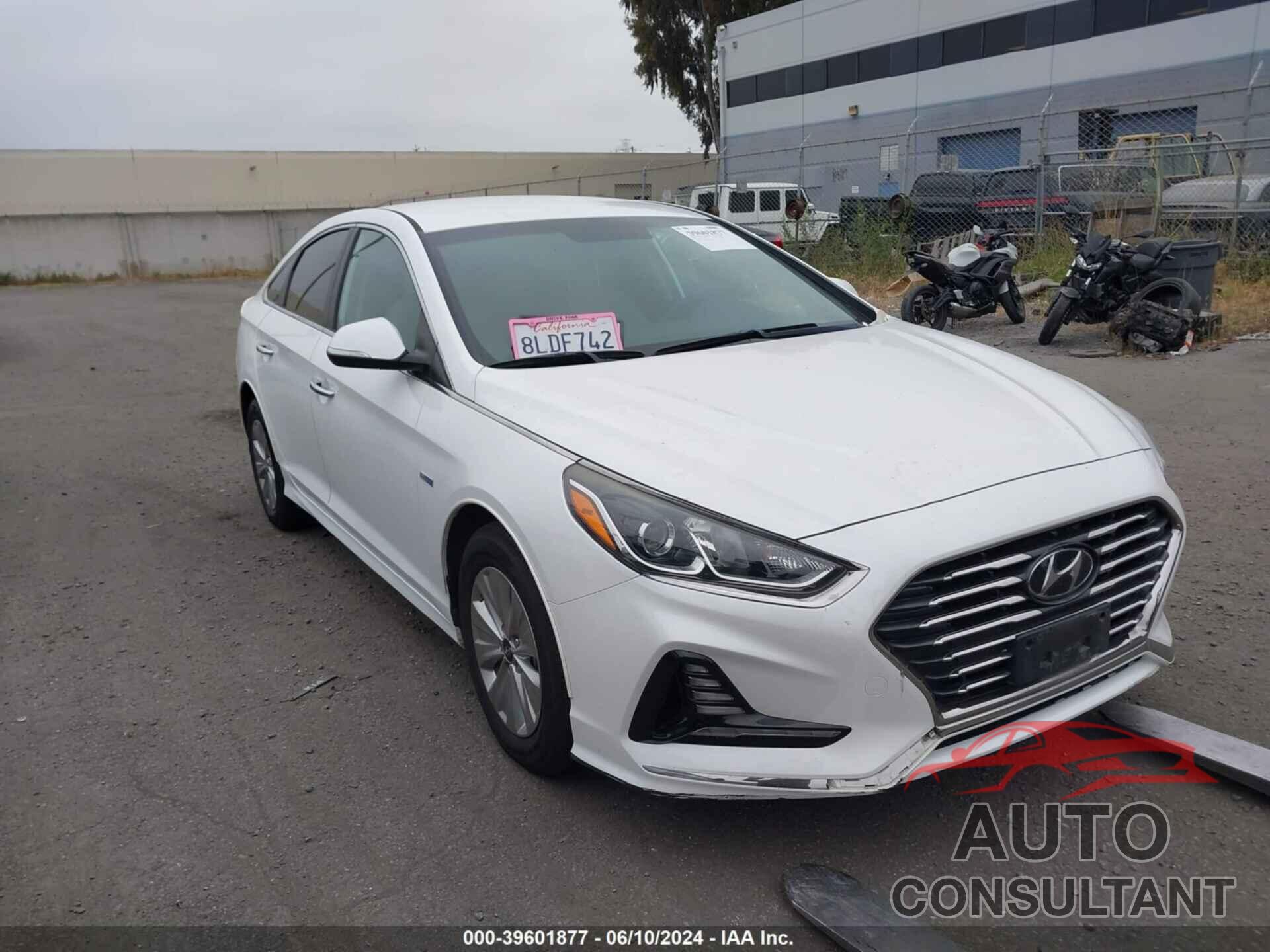 HYUNDAI SONATA HYBRID 2019 - KMHE24L32KA091519