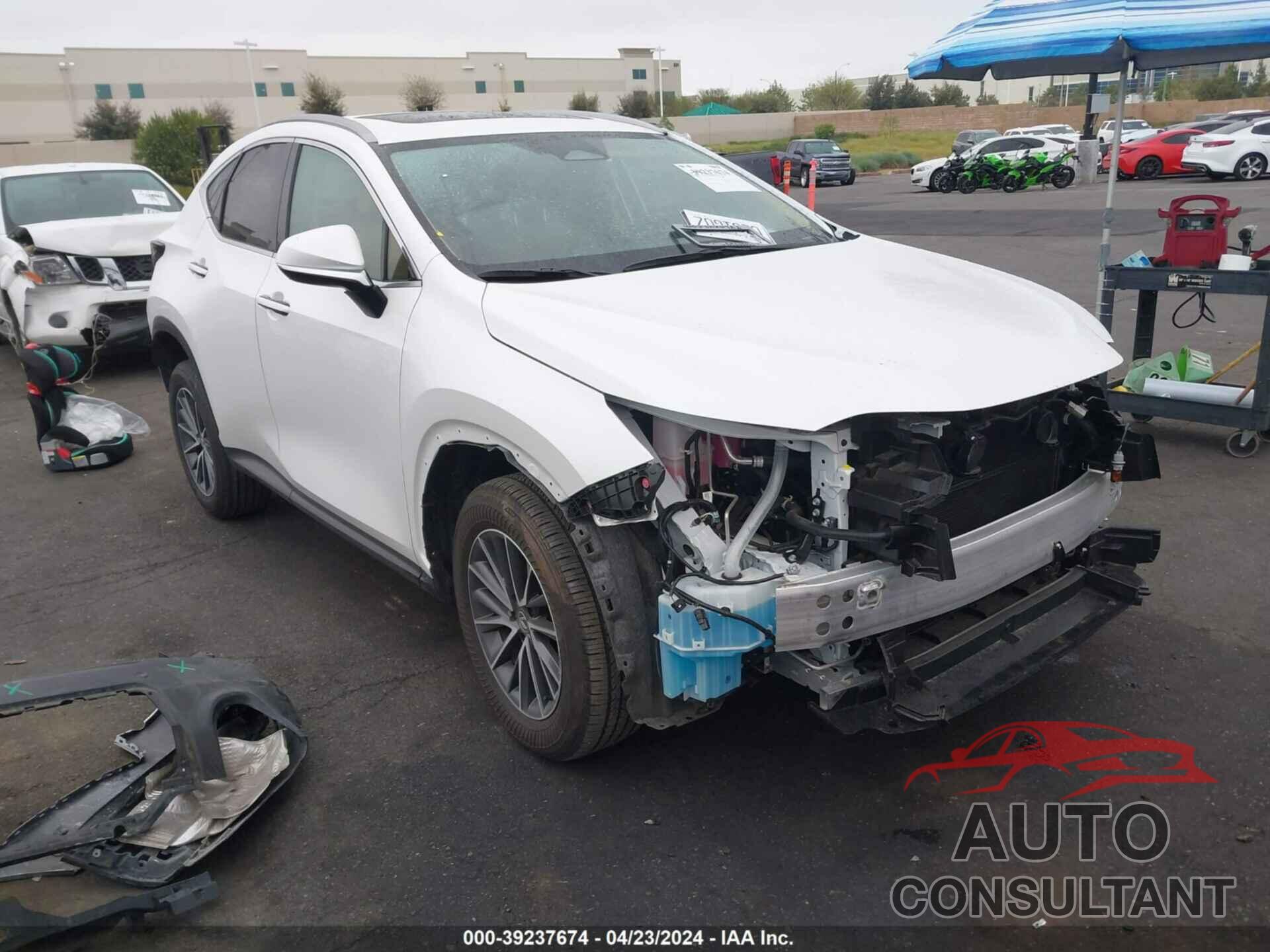 LEXUS NX 350H 2024 - JTJAKCEZ6R5016904