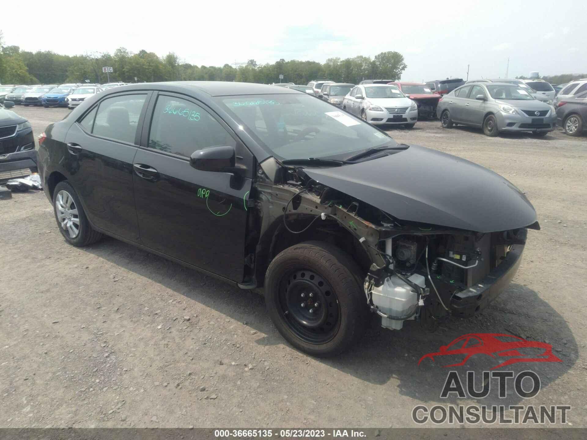 TOYOTA COROLLA 2016 - 2T1BURHE2GC613271