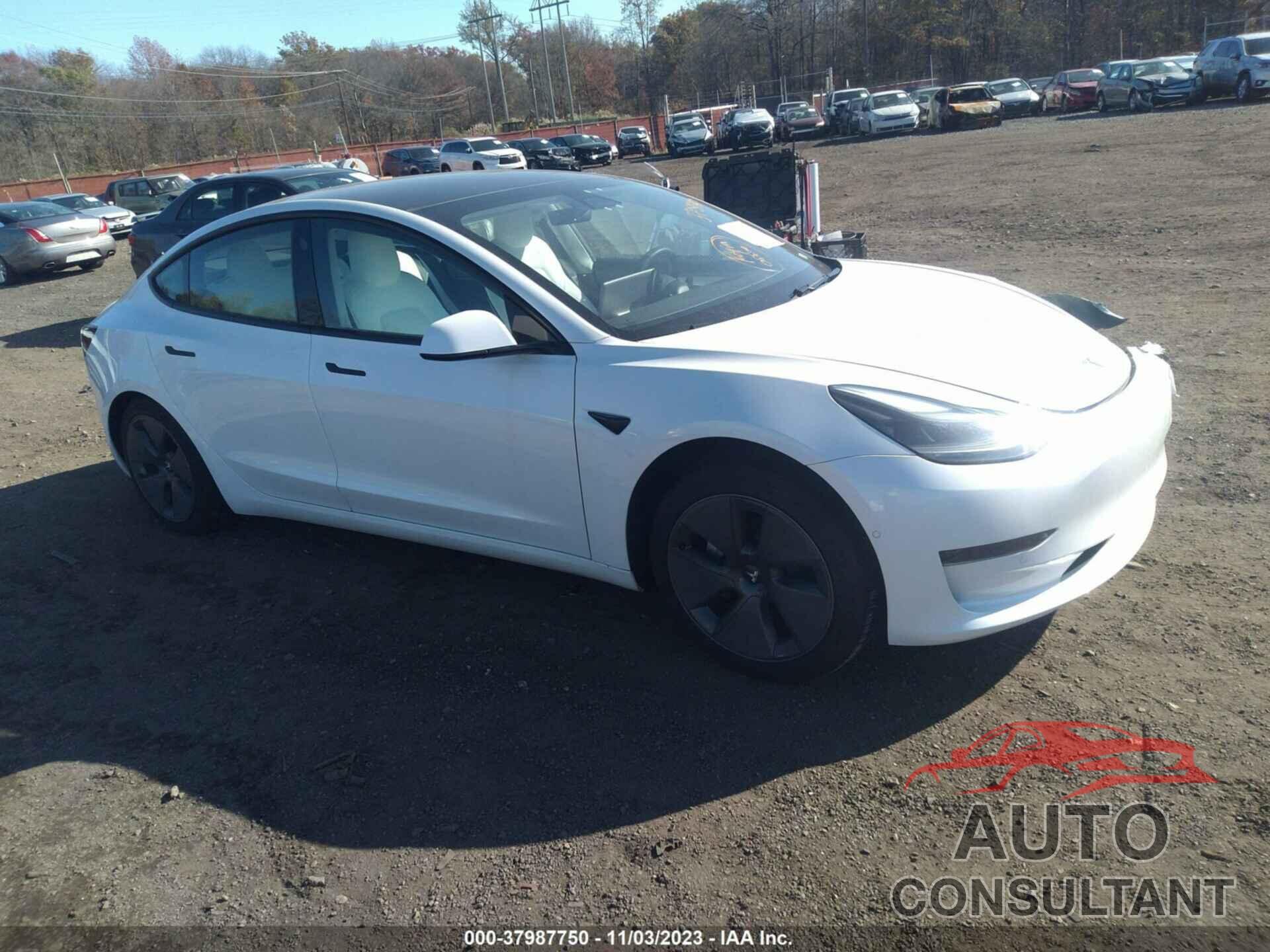 TESLA MODEL 3 2021 - 5YJ3E1EA8MF066034