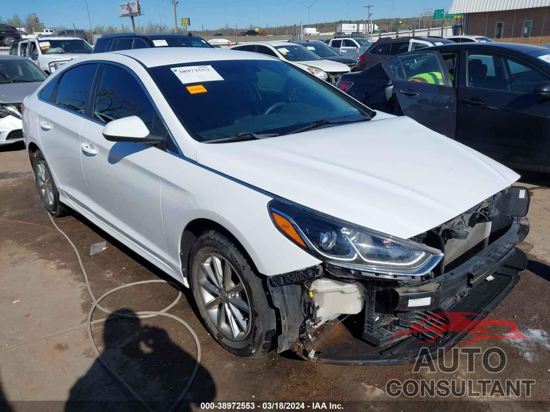 HYUNDAI SONATA 2019 - 5NPE24AF7KH750866