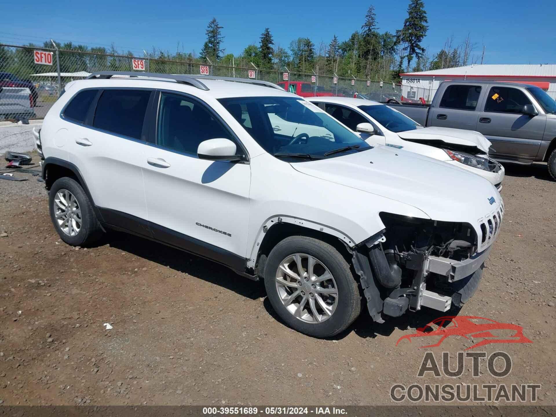 JEEP CHEROKEE 2019 - 1C4PJLCX2KD111117