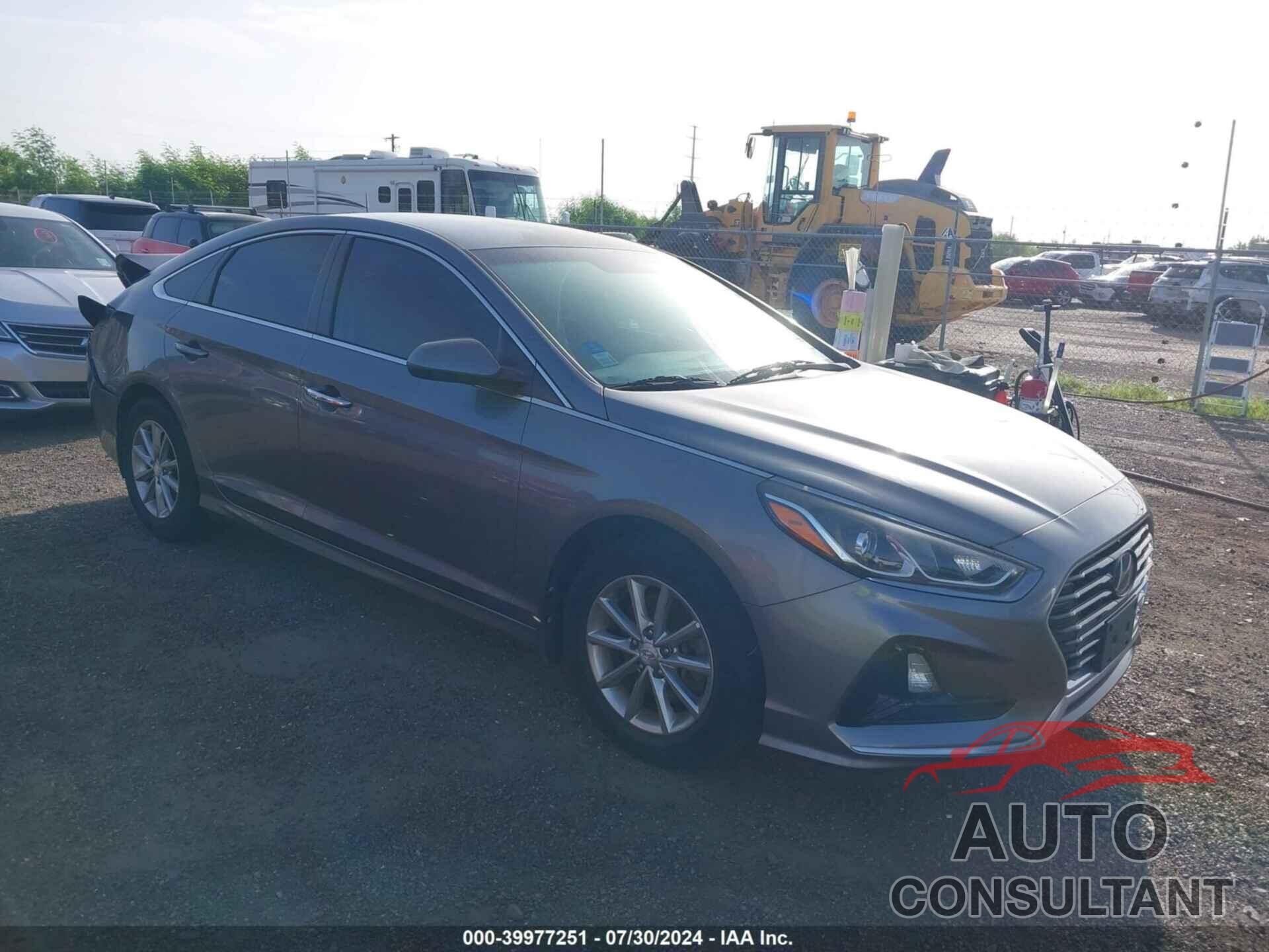 HYUNDAI SONATA 2019 - 5NPE24AF6KH743956