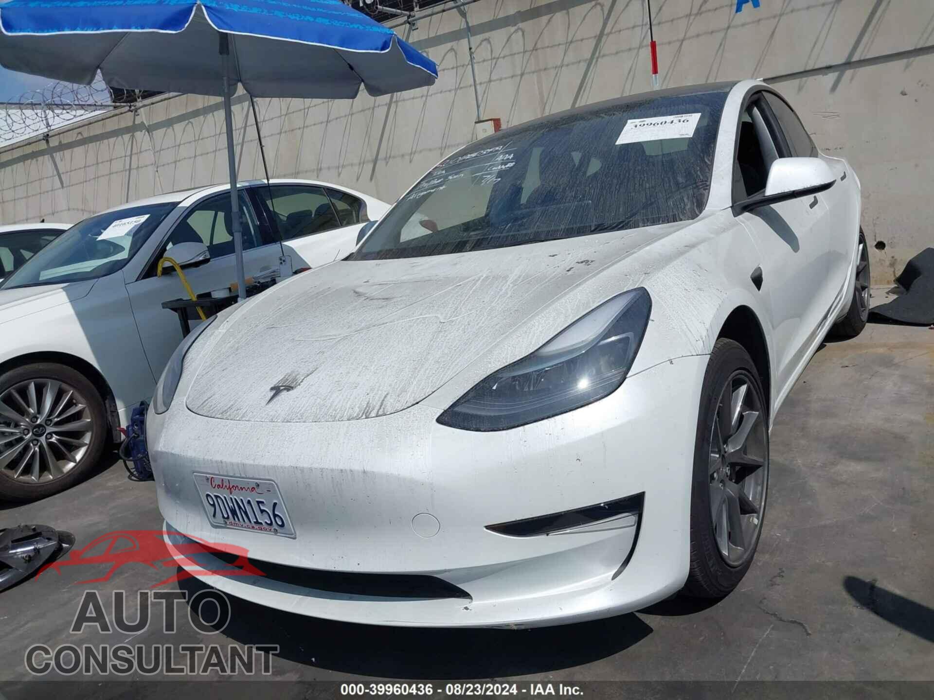 TESLA MODEL 3 2023 - 5YJ3E1EA1PF409450