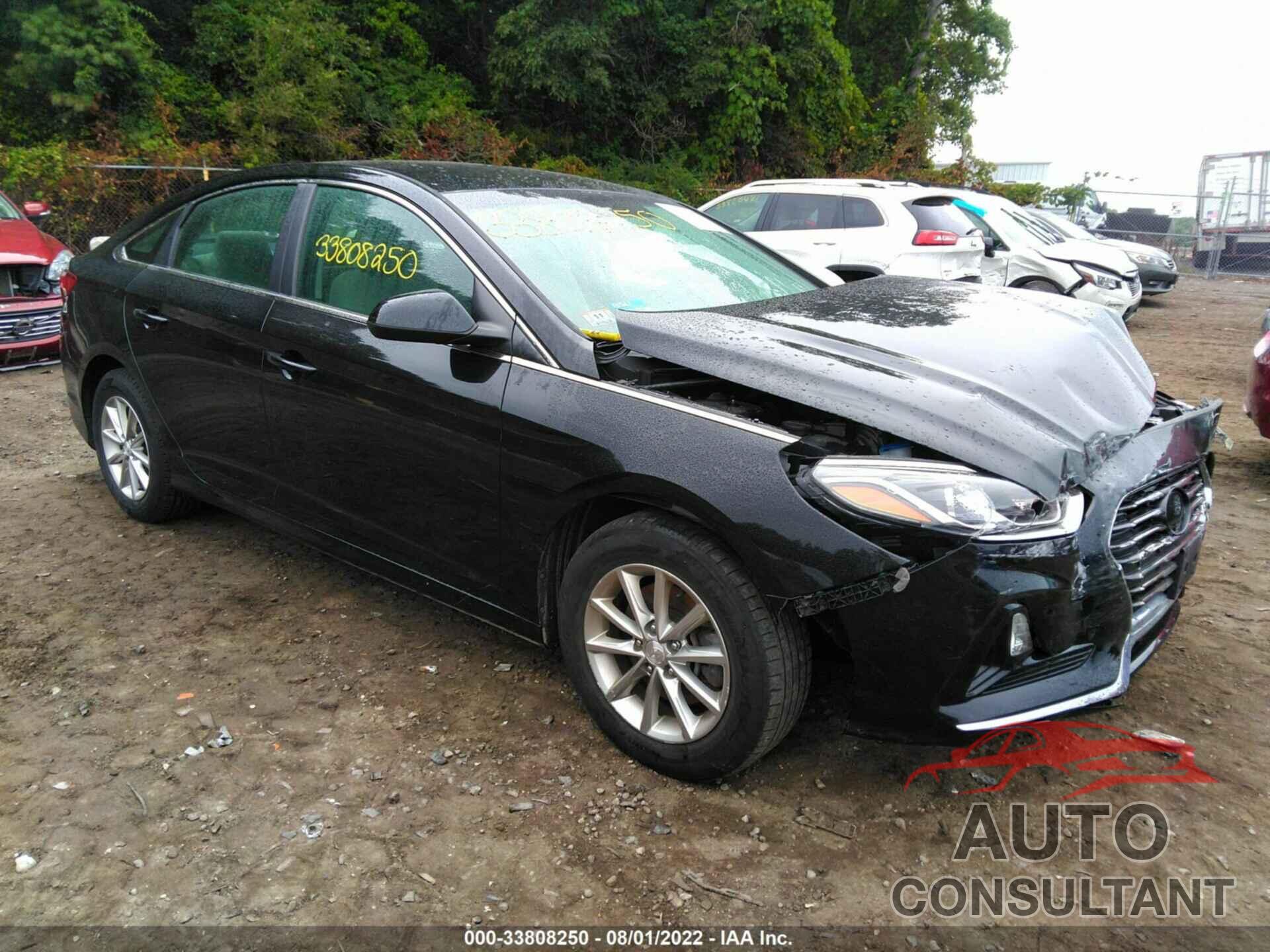 HYUNDAI SONATA 2019 - 5NPE24AF3KH773917